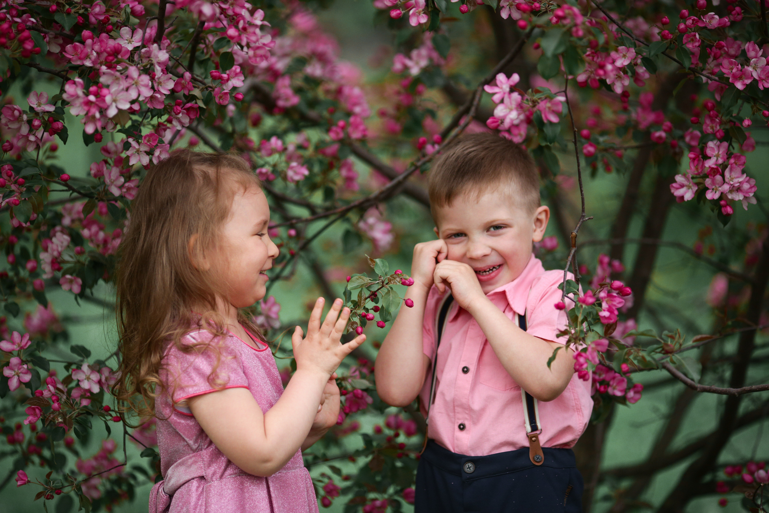 Фотосессия в цветущих яблоневых садах. Свадебный и репортажный фотограф (Москва, Королев и другие)