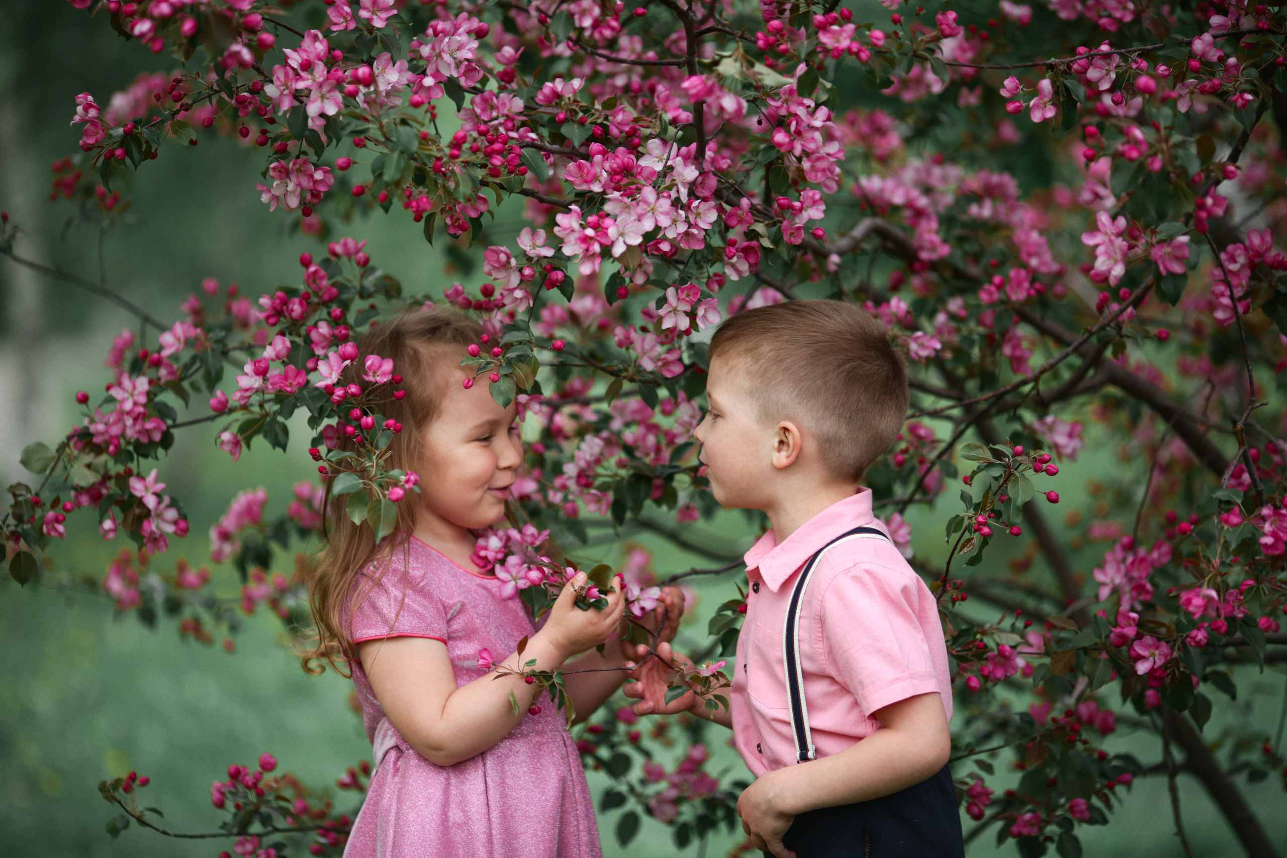Фотосессия в цветущих яблоневых садах. Свадебный и репортажный фотограф (Москва, Королев и другие)