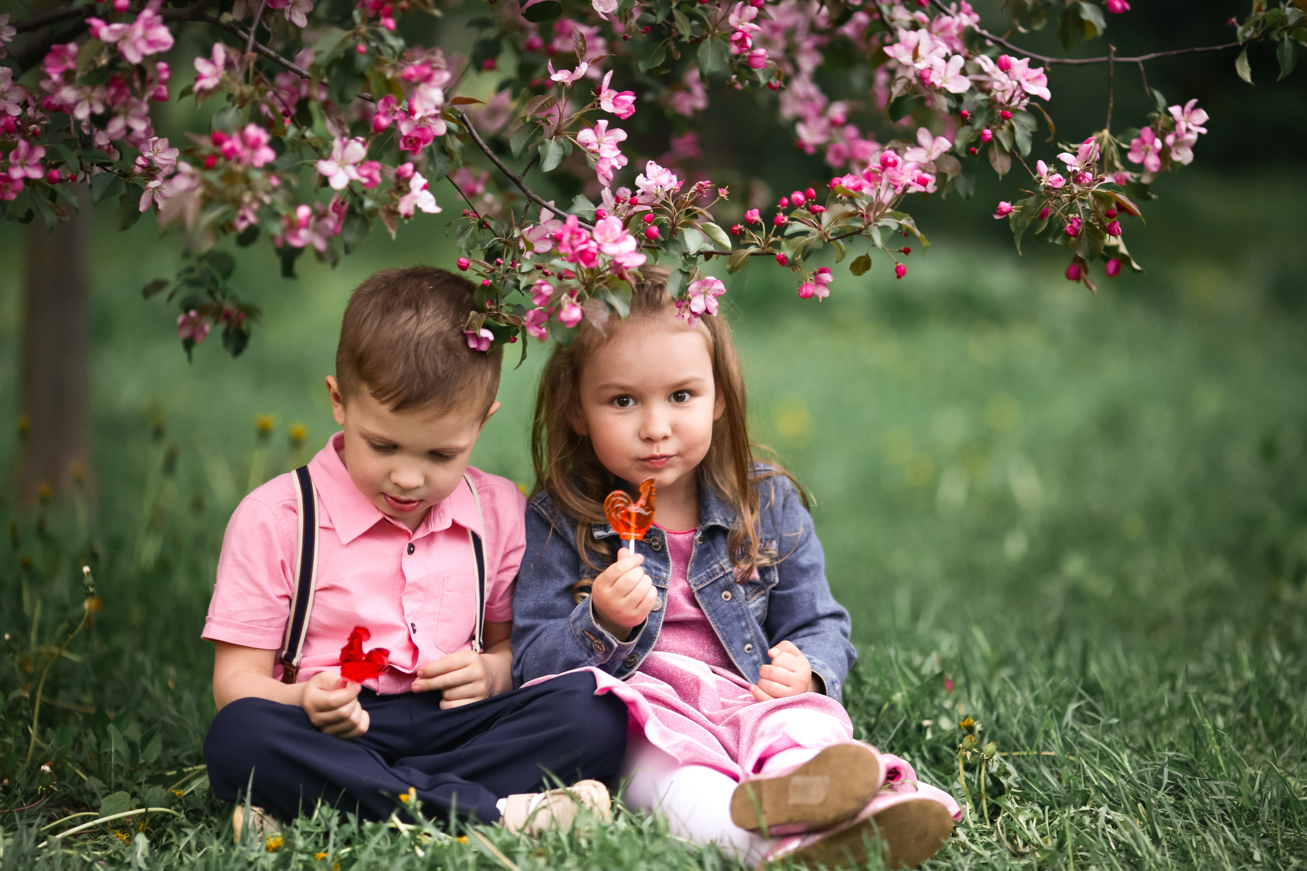 Фотосессия в цветущих яблоневых садах. Свадебный и репортажный фотограф (Москва, Королев и другие)
