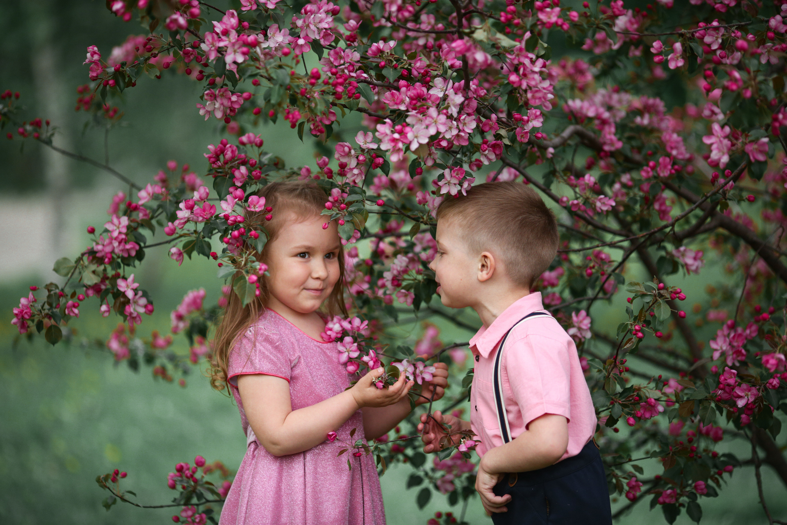 Фотосессия в цветущих яблоневых садах. Свадебный и репортажный фотограф (Москва, Королев и другие)