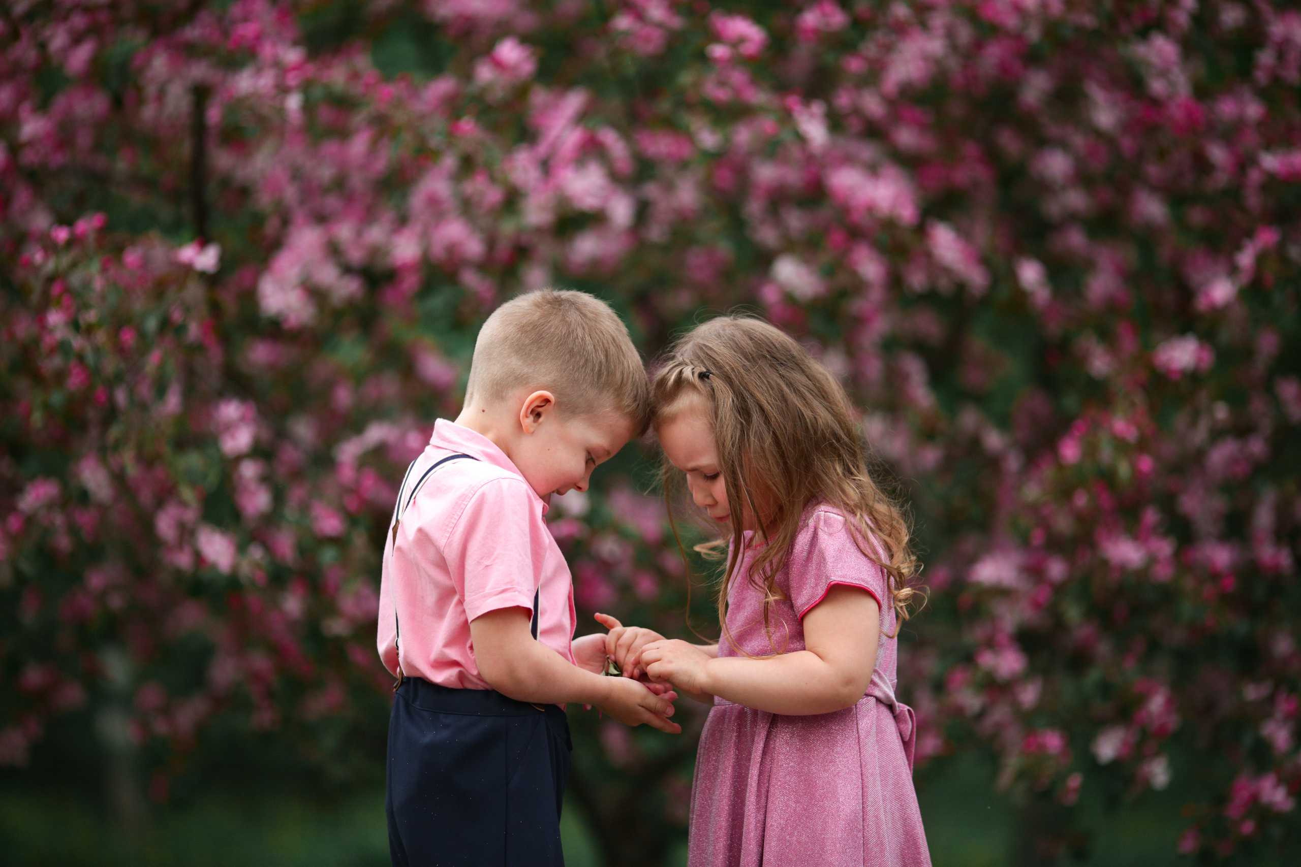 Фотосессия в цветущих яблоневых садах. Свадебный и репортажный фотограф (Москва, Королев и другие)