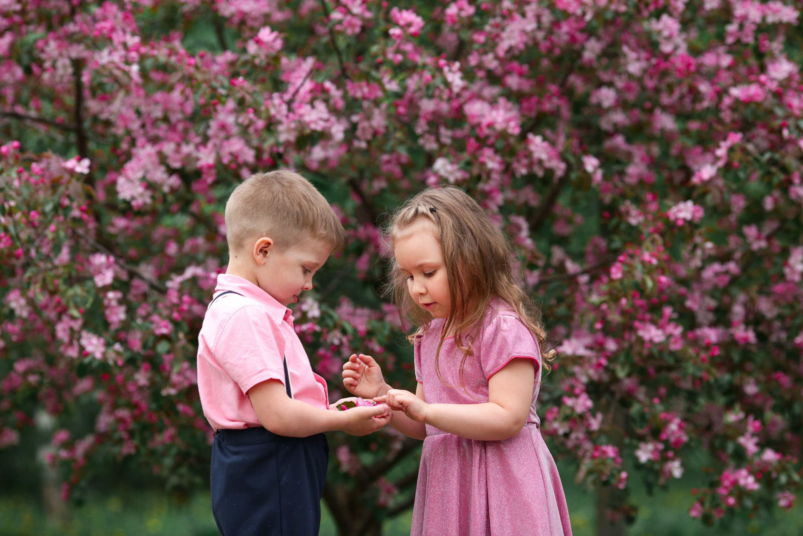 Фотосессия в цветущих яблоневых садах. Свадебный и репортажный фотограф (Москва, Королев и другие)