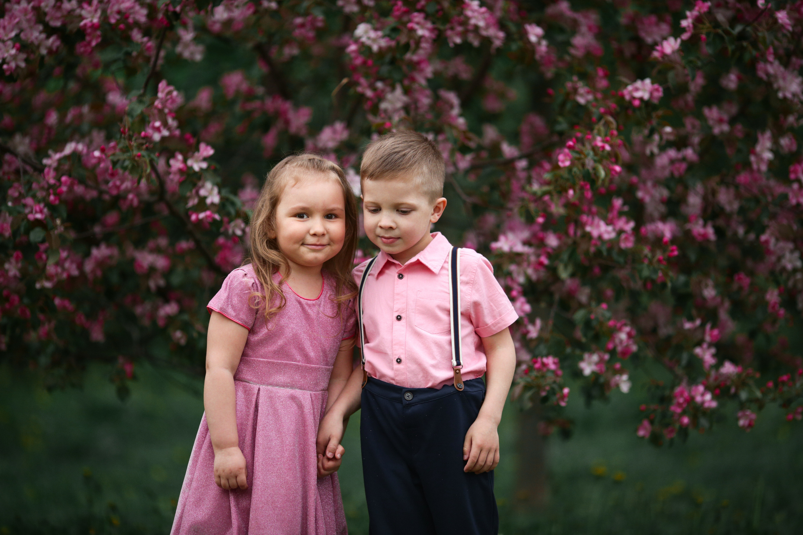Фотосессия в цветущих яблоневых садах. Свадебный и репортажный фотограф (Москва, Королев и другие)