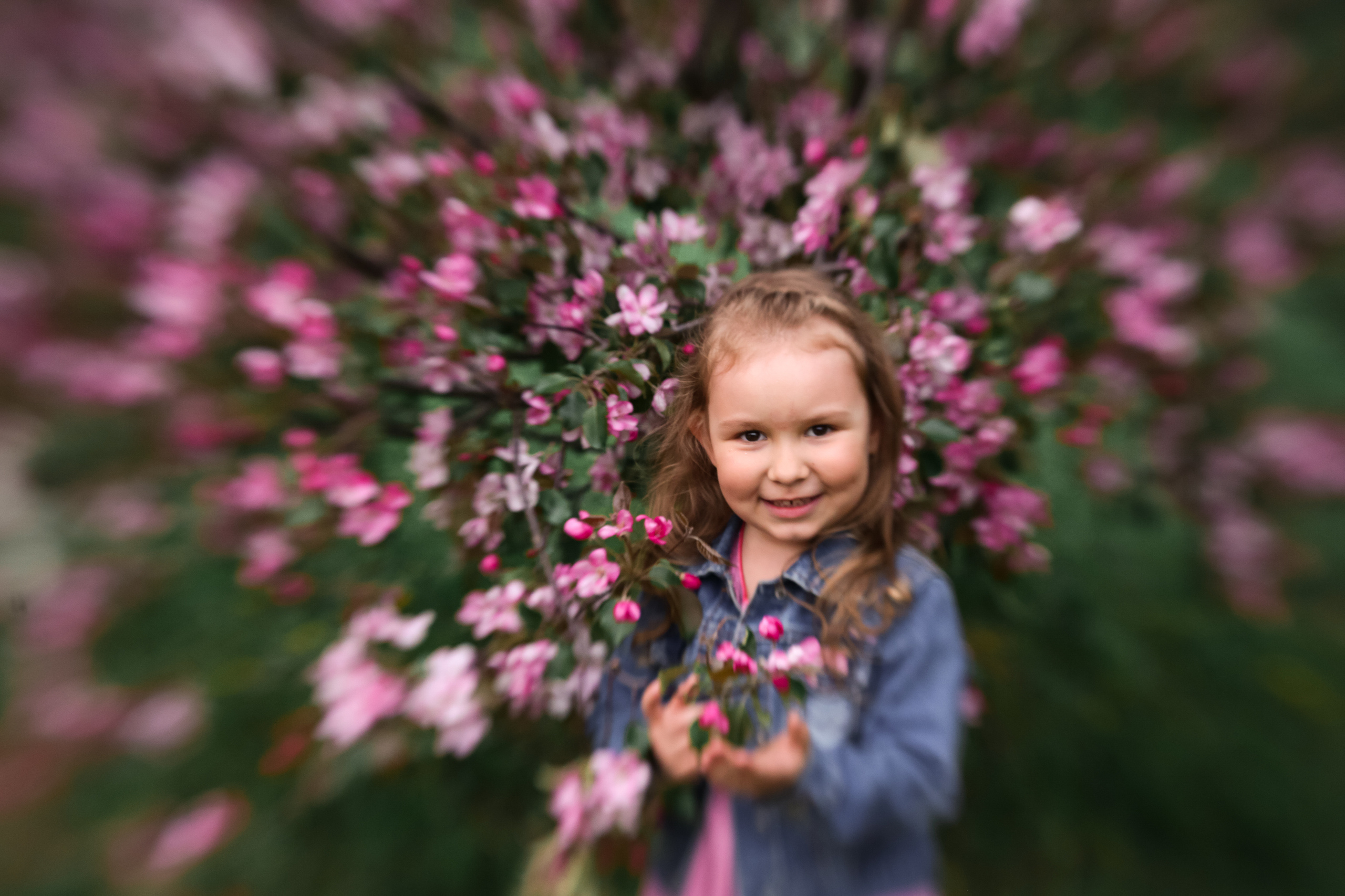 Фотосессия в цветущих яблоневых садах. Свадебный и репортажный фотограф (Москва, Королев и другие)