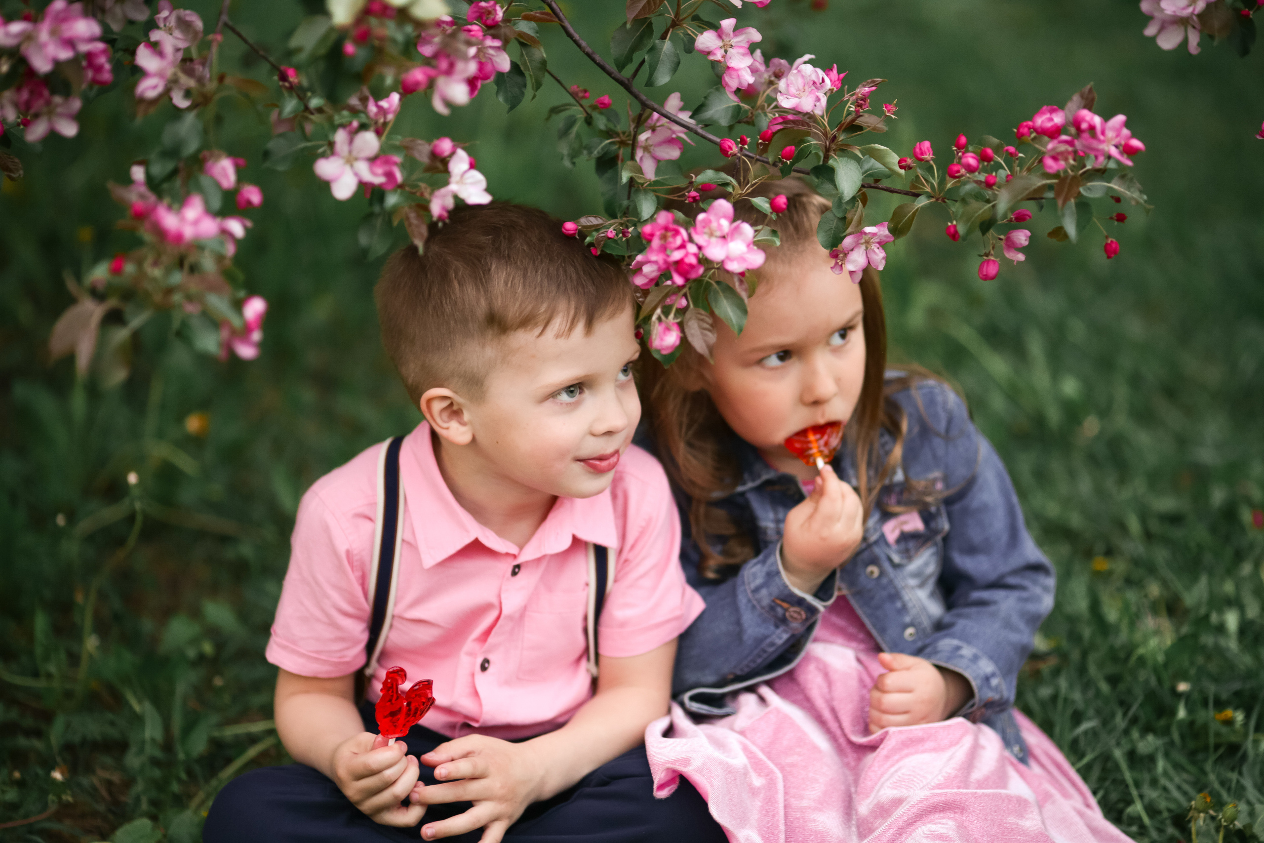 Фотосессия в цветущих яблоневых садах. Свадебный и репортажный фотограф (Москва, Королев и другие)