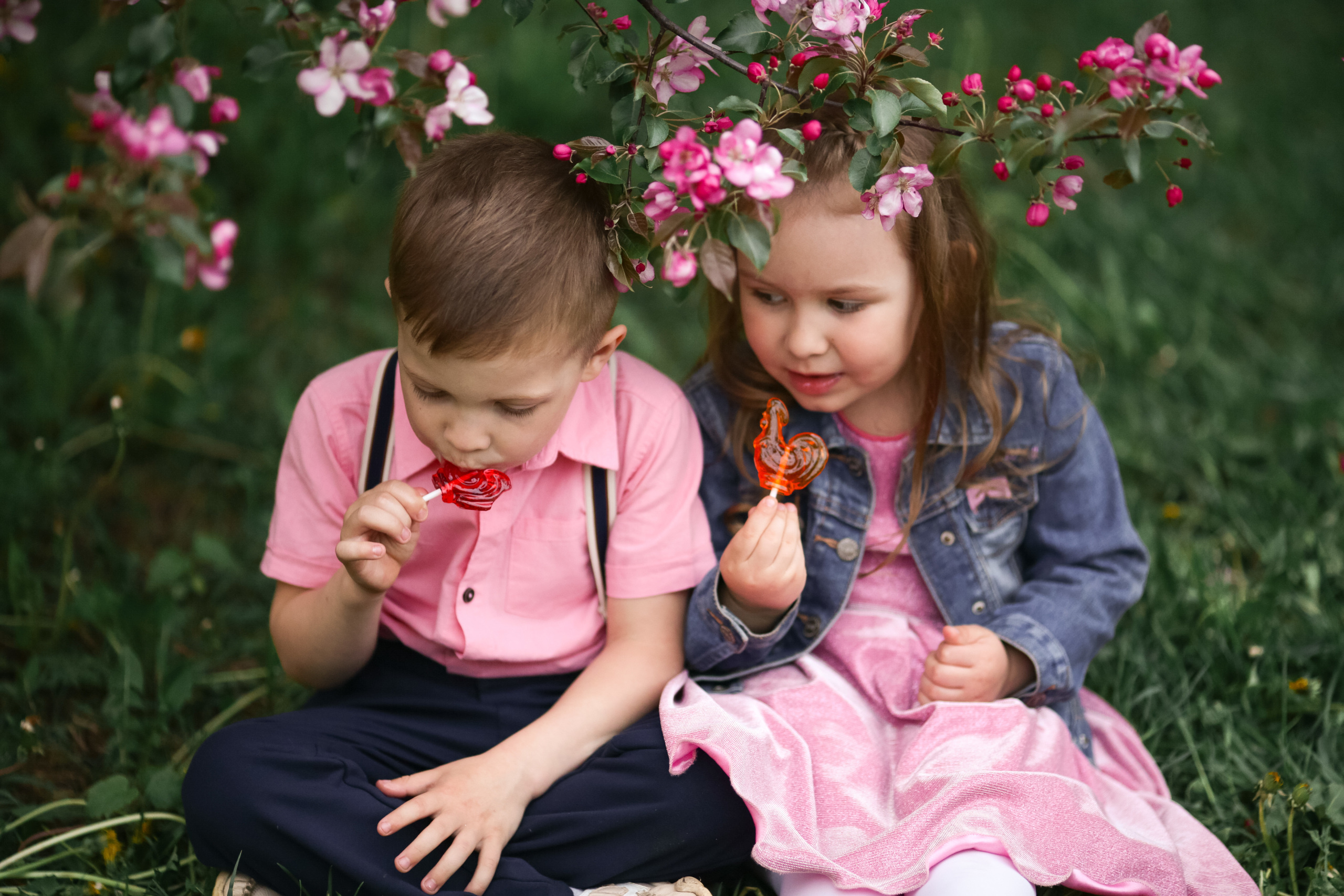 Фотосессия в цветущих яблоневых садах. Свадебный и репортажный фотограф (Москва, Королев и другие)