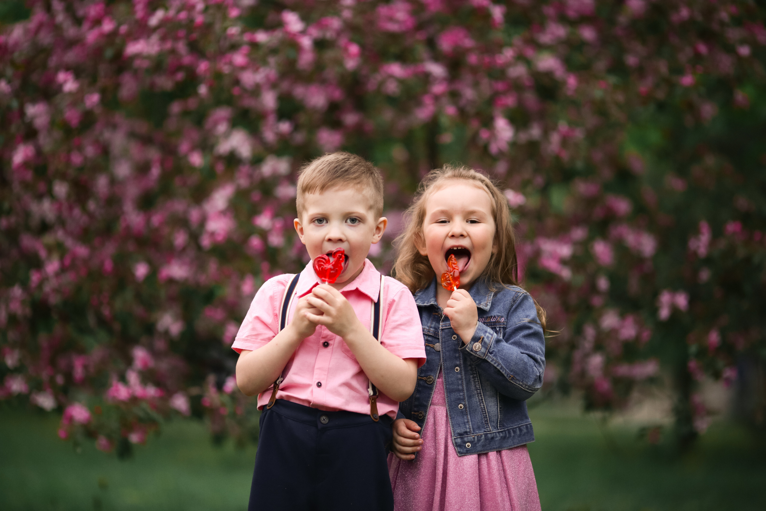 Фотосессия в цветущих яблоневых садах. Свадебный и репортажный фотограф (Москва, Королев и другие)