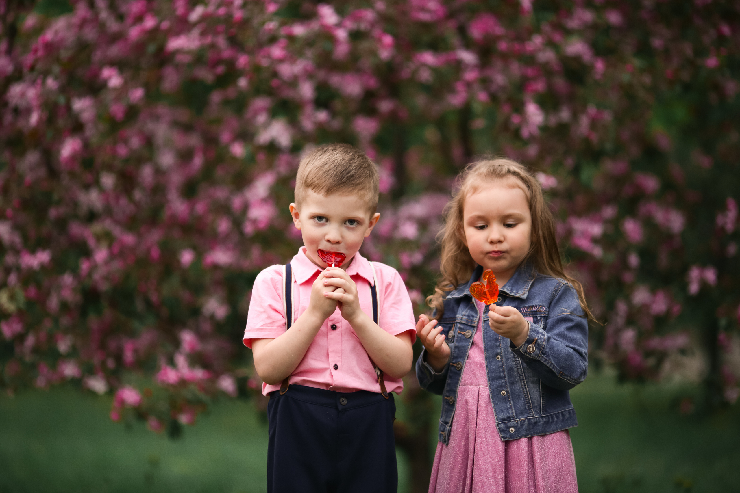 Фотосессия в цветущих яблоневых садах. Свадебный и репортажный фотограф (Москва, Королев и другие)