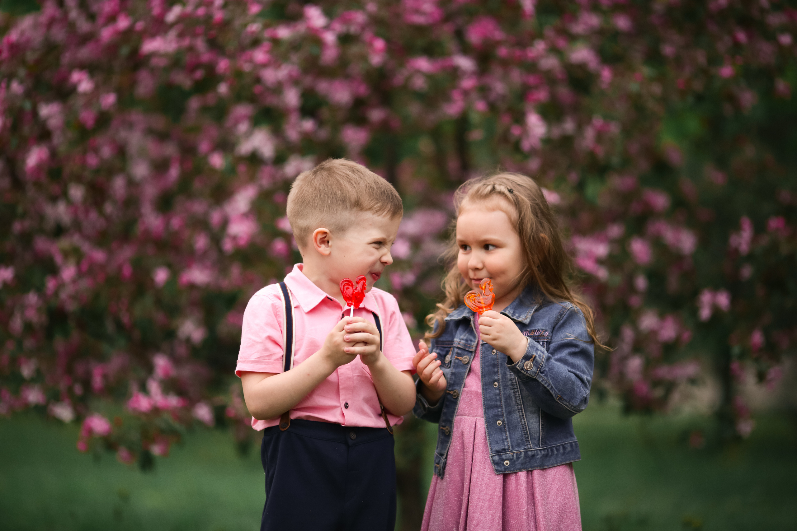Фотосессия в цветущих яблоневых садах. Свадебный и репортажный фотограф (Москва, Королев и другие)