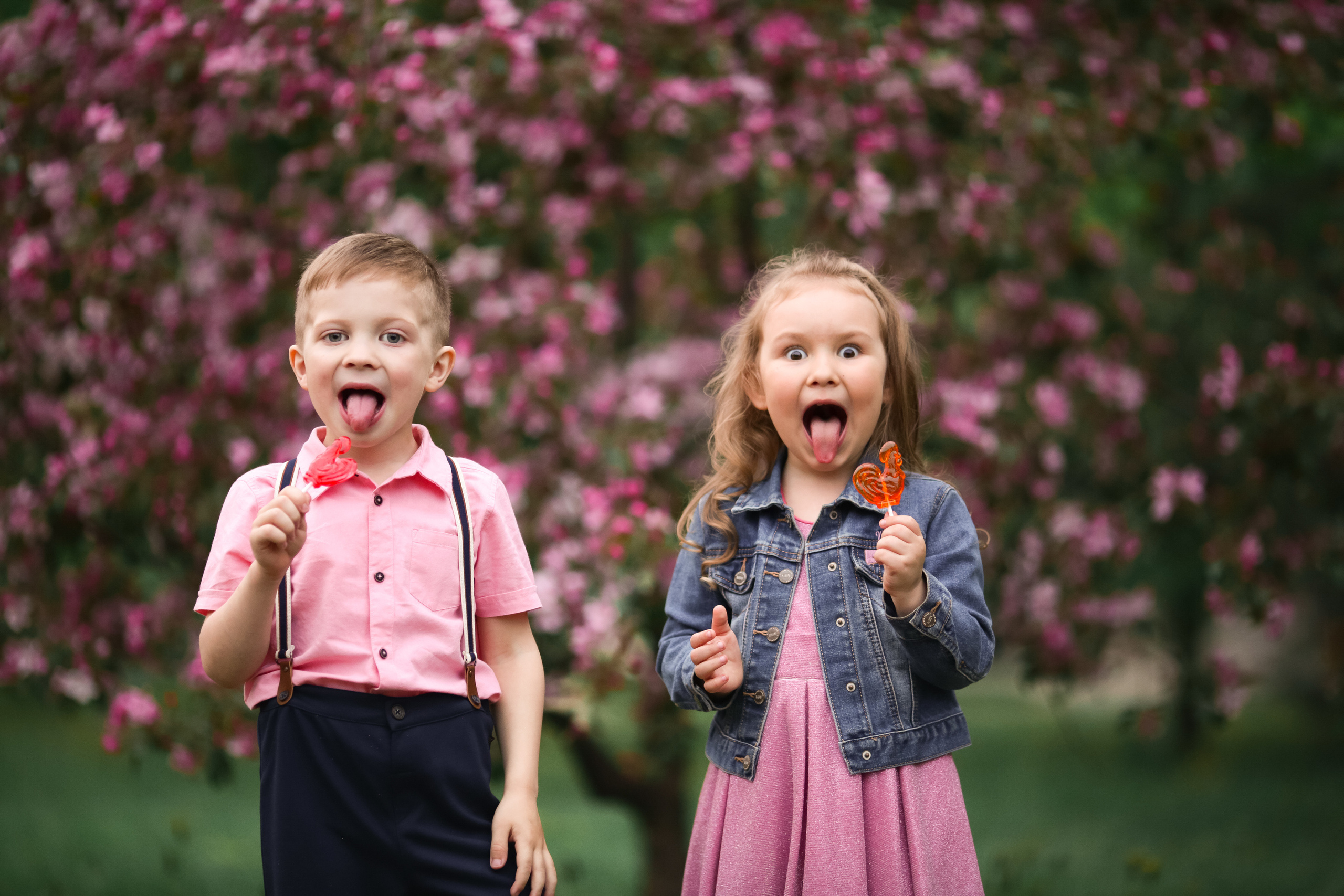Фотосессия в цветущих яблоневых садах. Свадебный и репортажный фотограф (Москва, Королев и другие)
