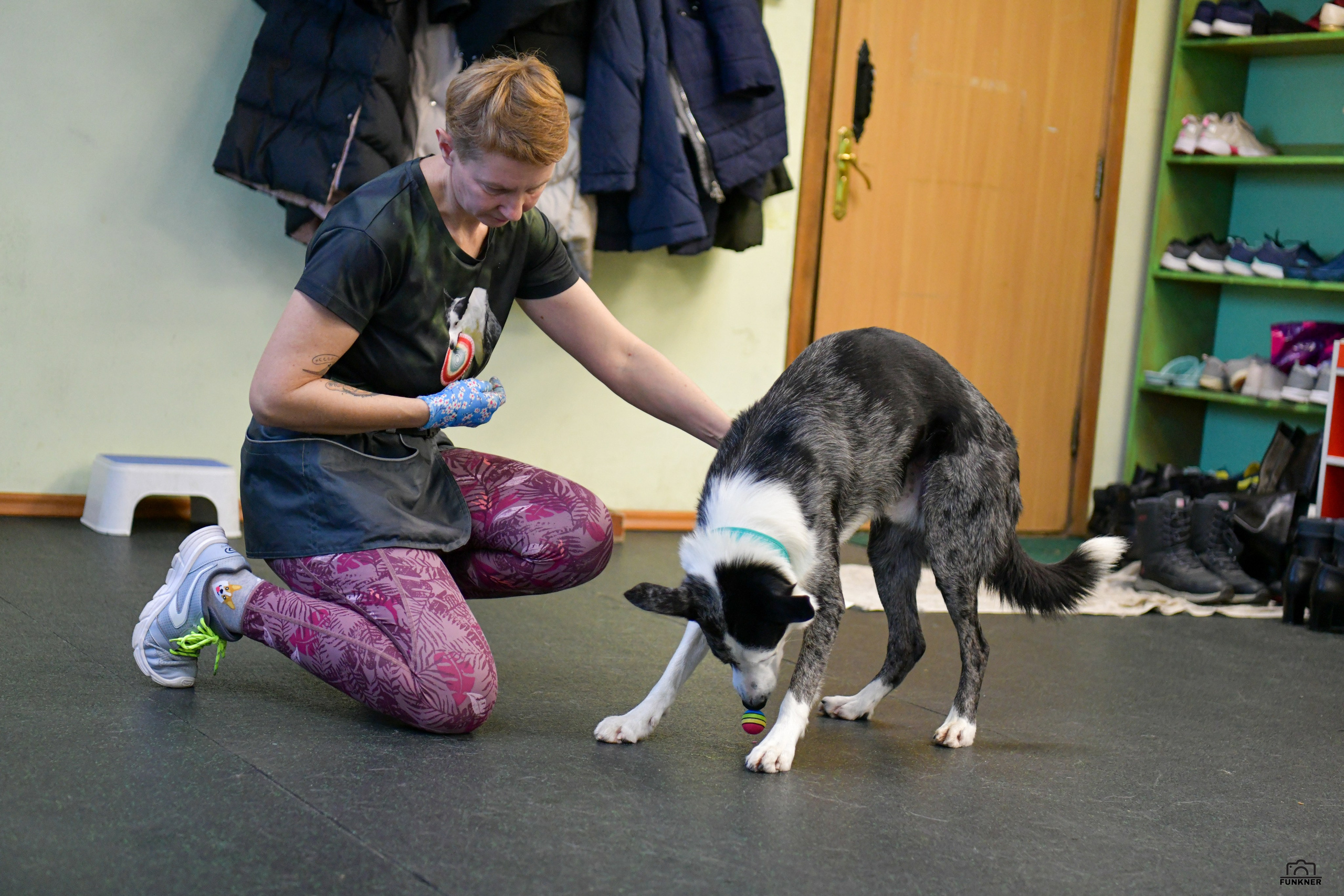 Кинологический клуб «Бодрый хвост». Свой взгляд через объектив