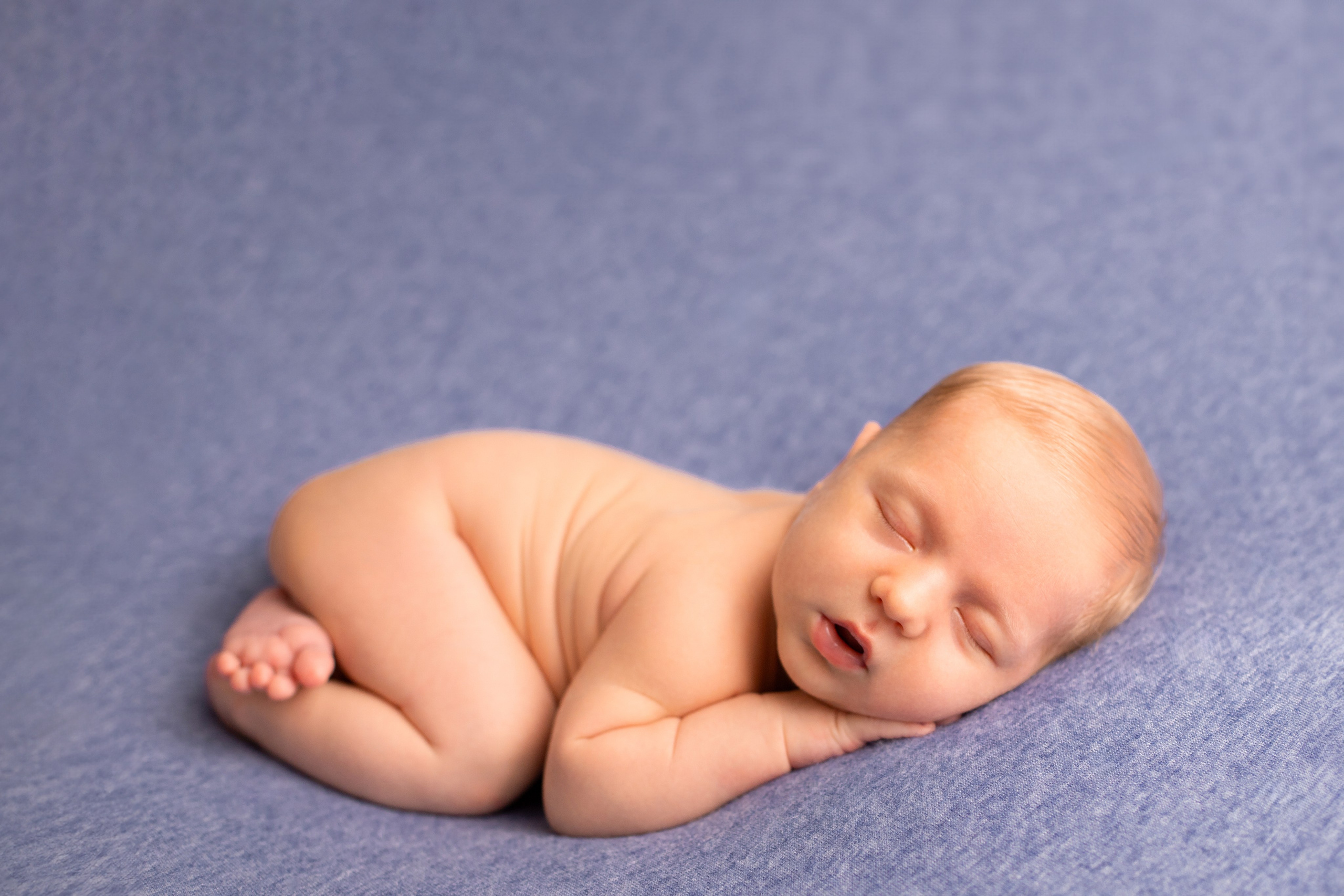 Фотограф в Северском районе| г. Краснодар Алена Заливчая