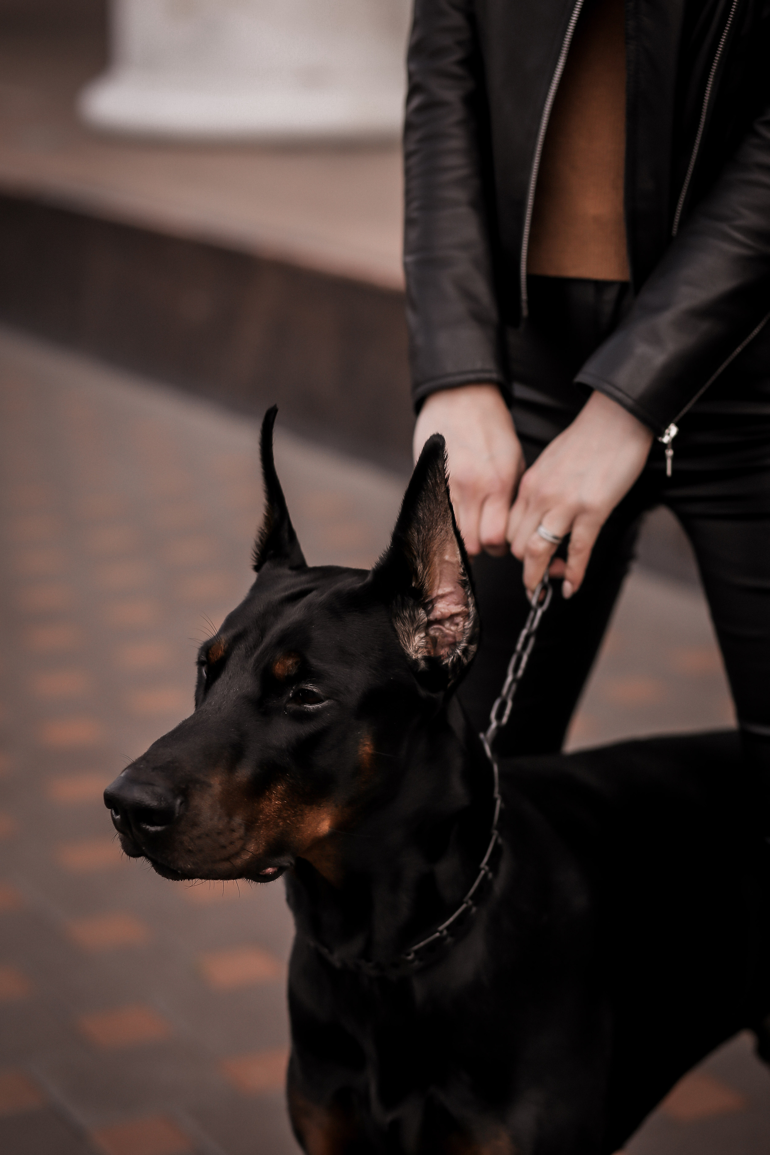 Виктория. Фото и Видео в Краснодаре Verveyko Studio