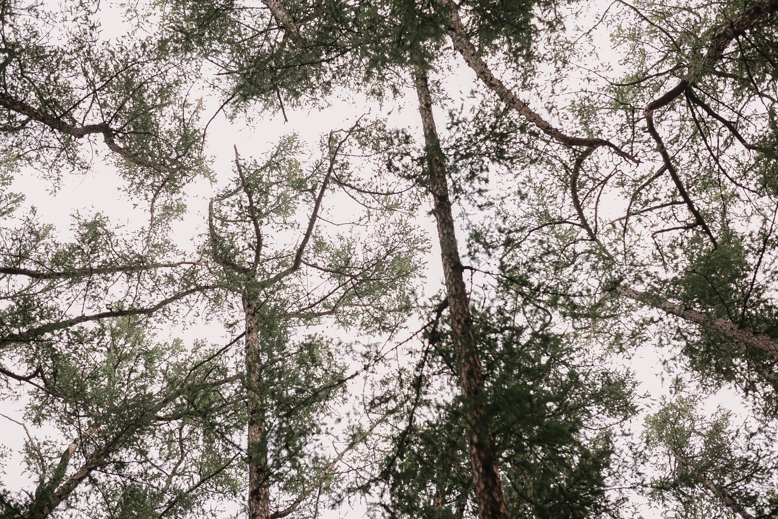 Артур и Лиза. Фотограф в Кумертау Уфа Мелеуз Салават Александра Сапрыкина