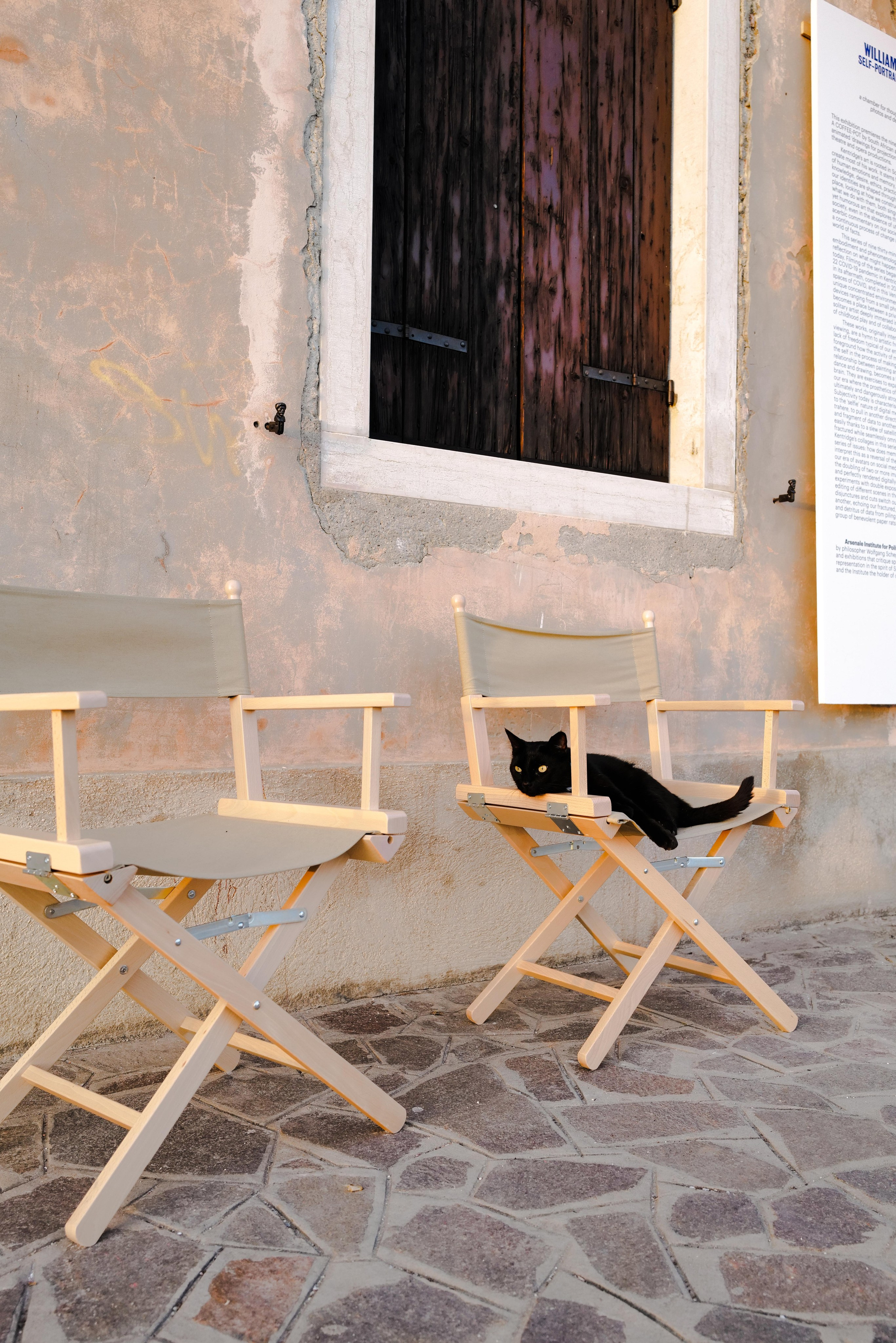 Venice. Фотограф Евгения Добротворская