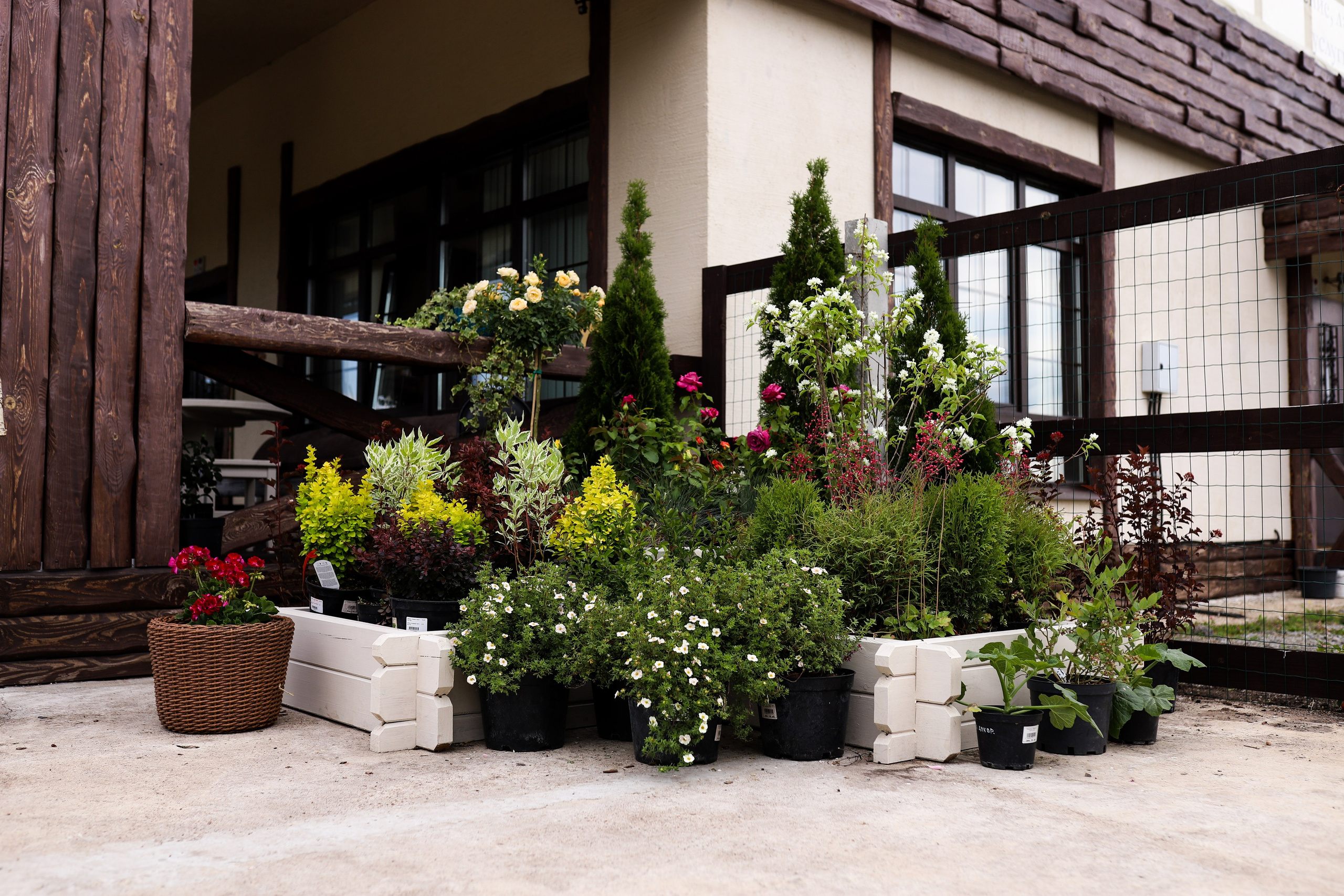 Садовый центр. Фотограф Эмилия Сафиуллина