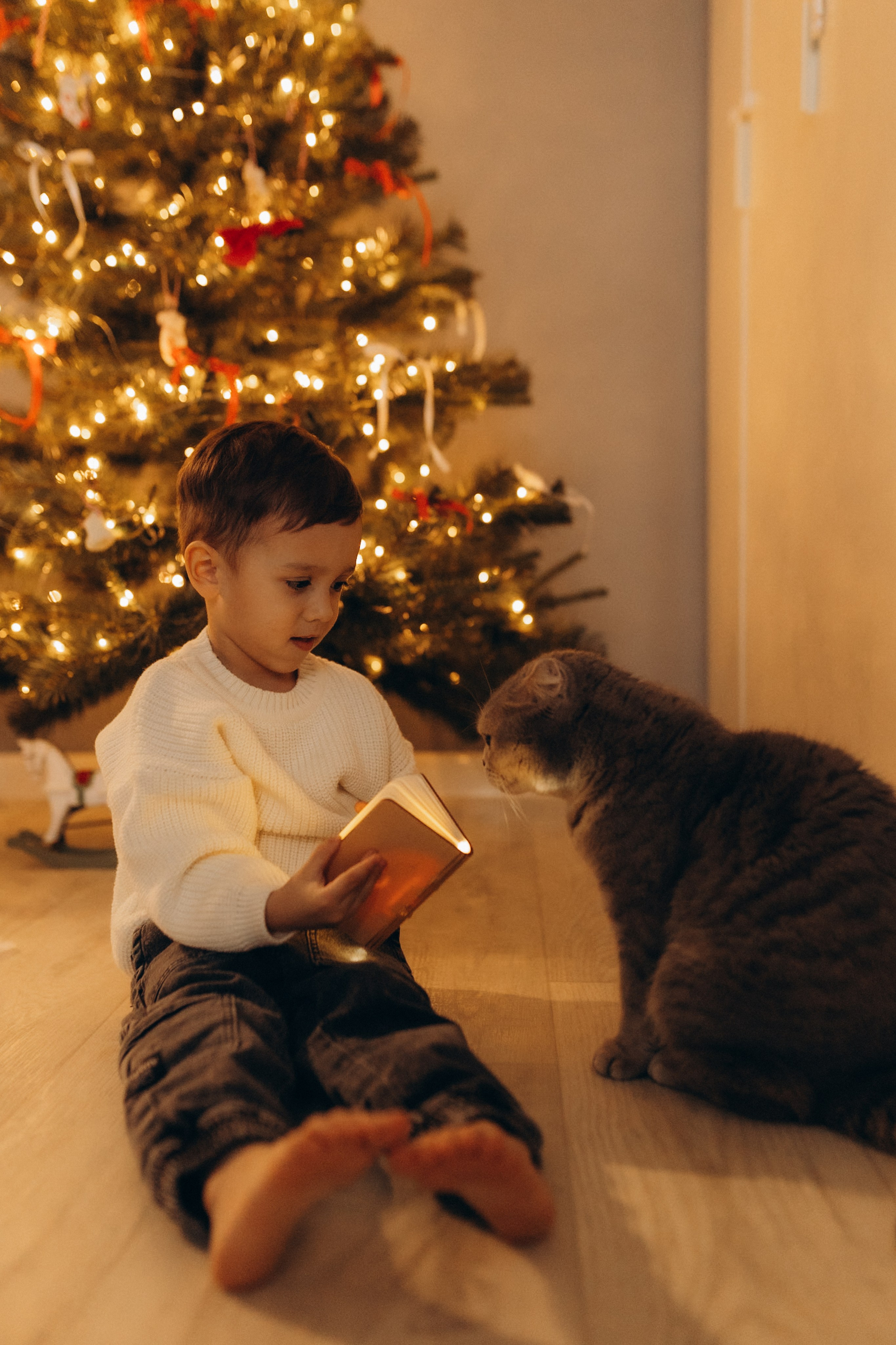 4.11 Семейная. Семейный и домашний фотограф Советский Югорск Екатерина Цыганок