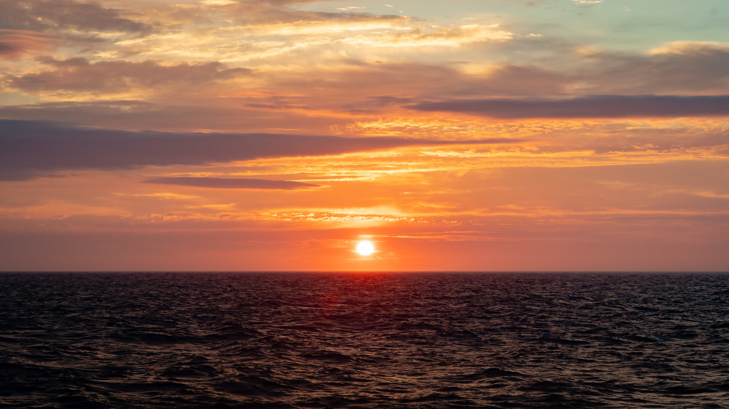 Итуруп. Семейный фотограф Варвара Сорока в городе Москве