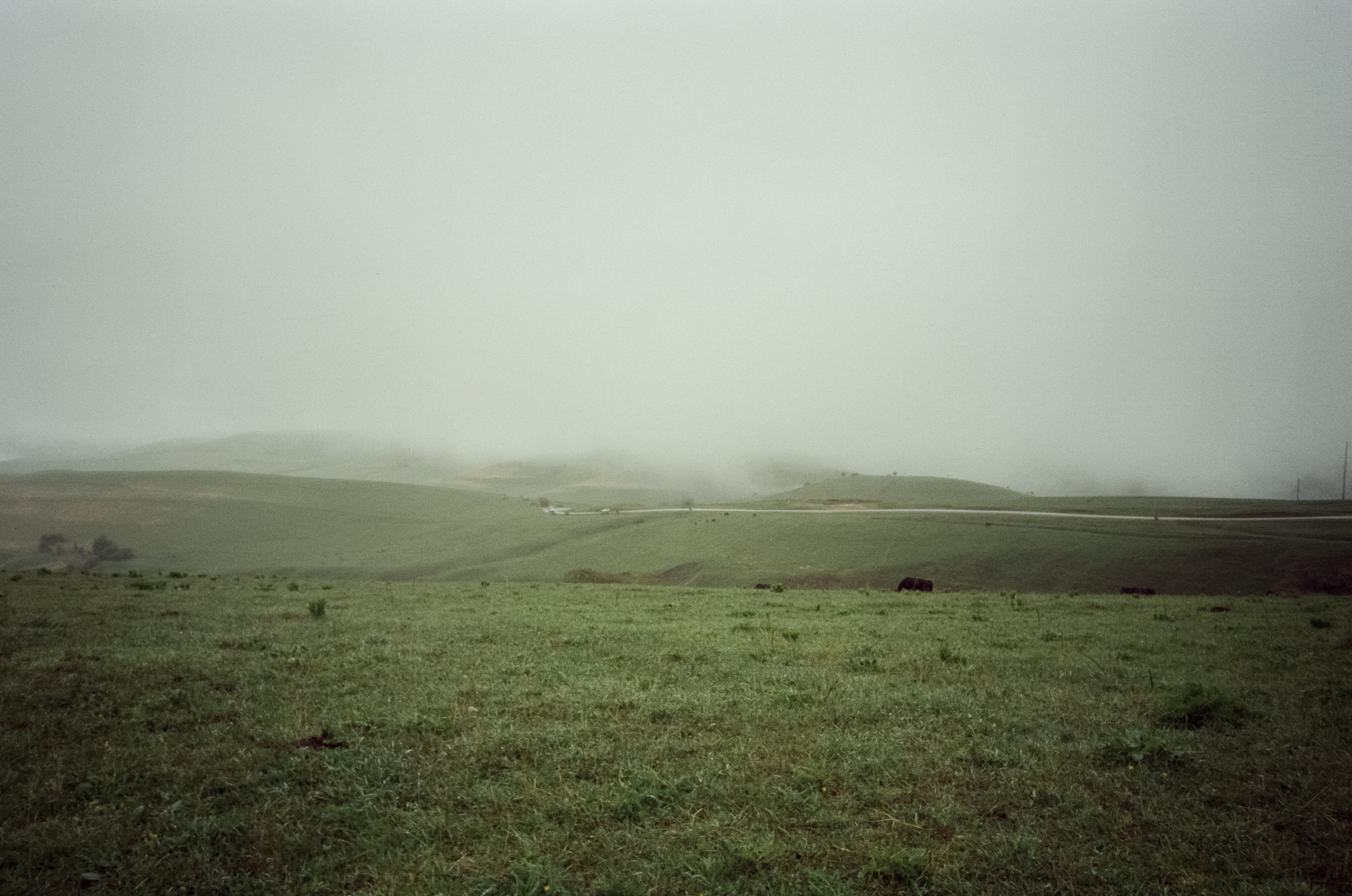 Дорога на Джилы-Су в дождливое утро. Туман. Фотограф-документалист Мария Осокина