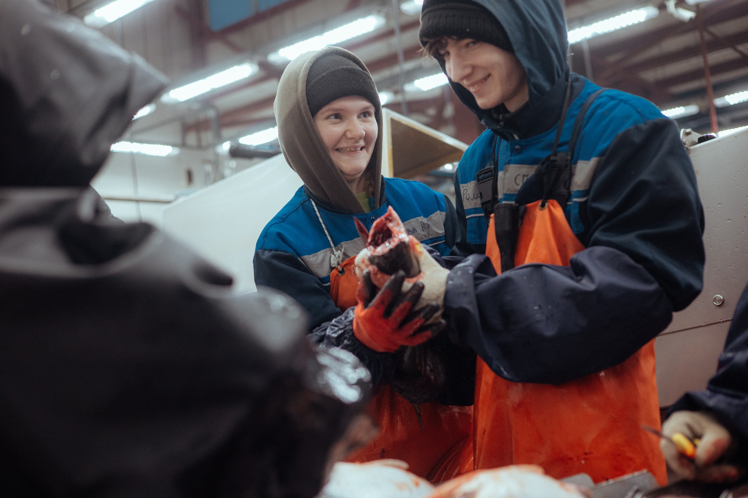 Ооо «лойд-фиш» | камчатка-2025