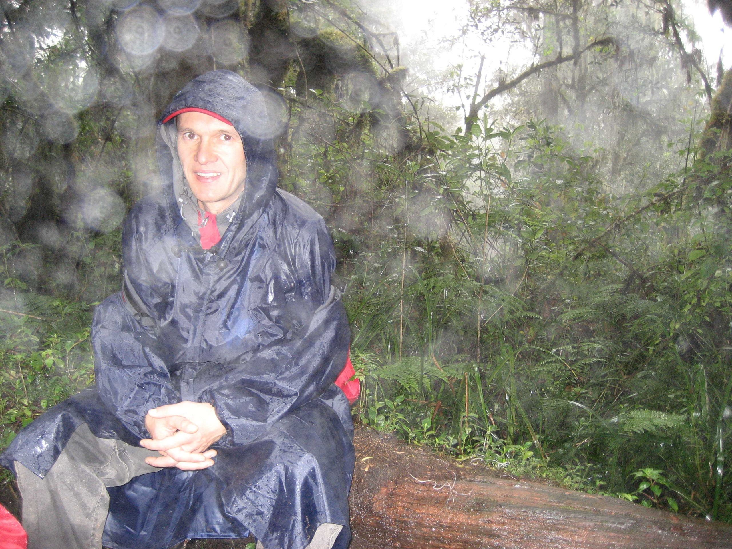 Килиманджаро. Заставка