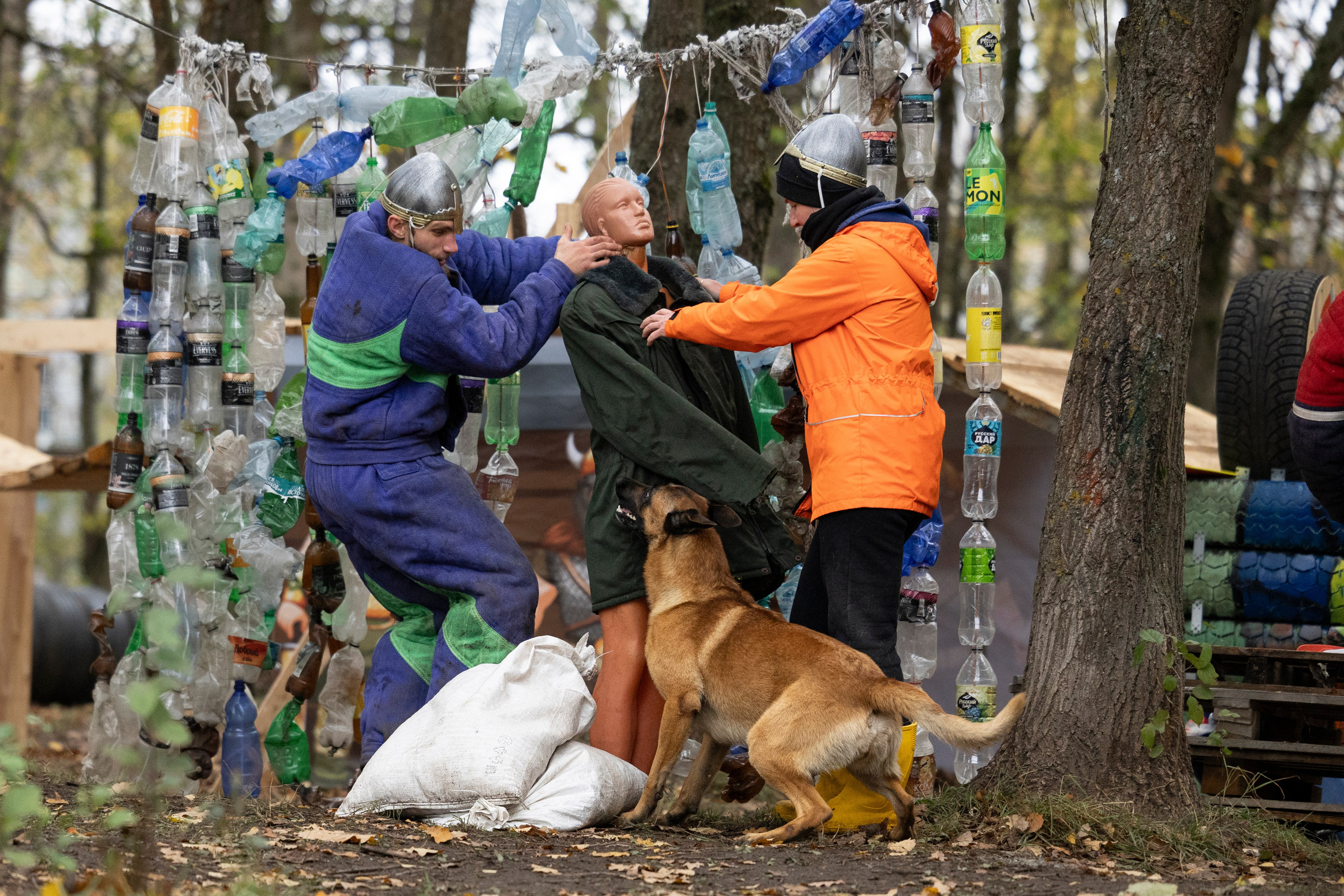Соревнования по Мондьорингу г. Вологда. Фотограф-анималист Анна Маринич