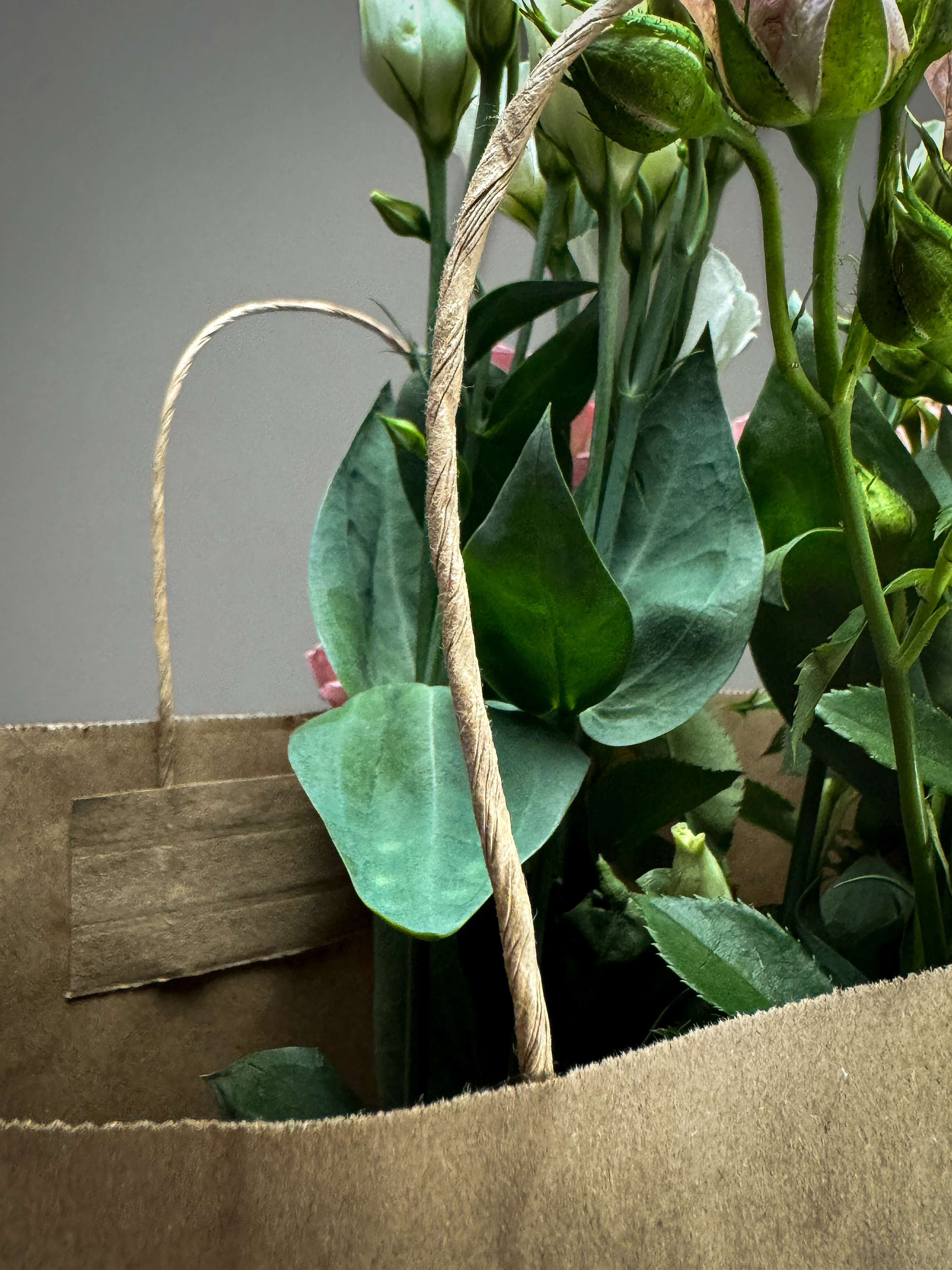 Предметная съемка. Content creator Saint-P