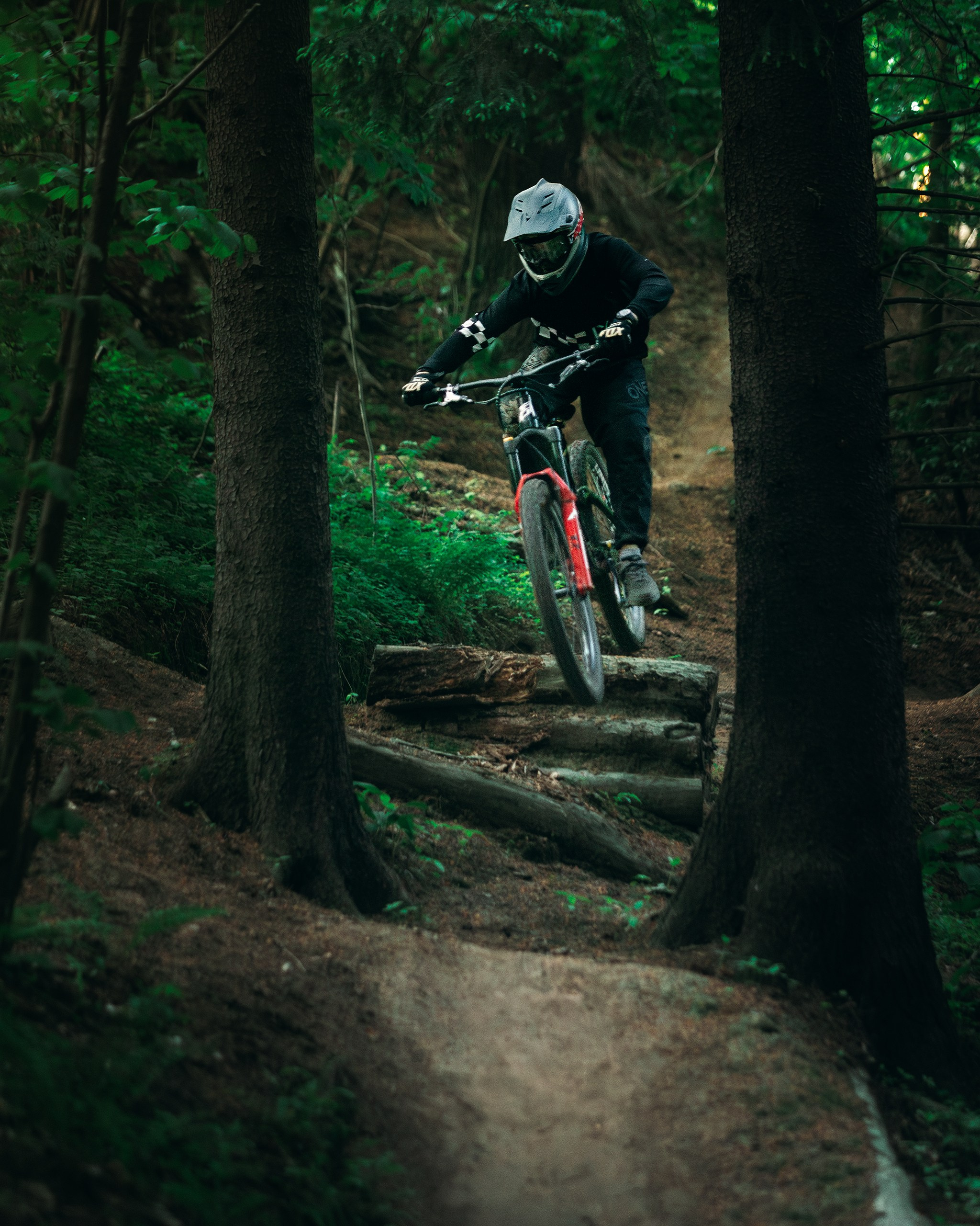 Саша и Ваня. Фотограф анималист Никита Натальный