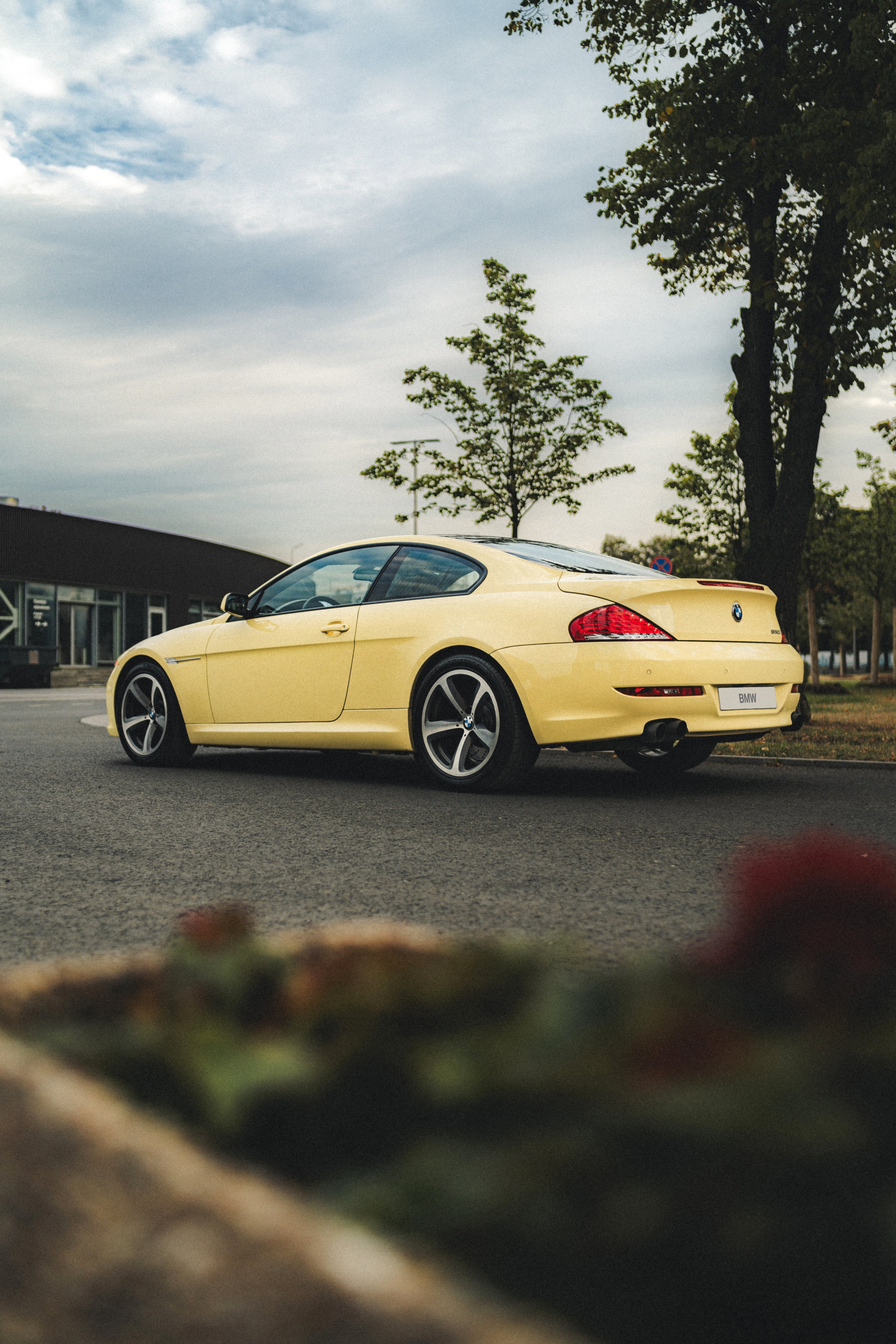 BMW 650i (Dakar Yellow). Фотограф Илья К. в Москве