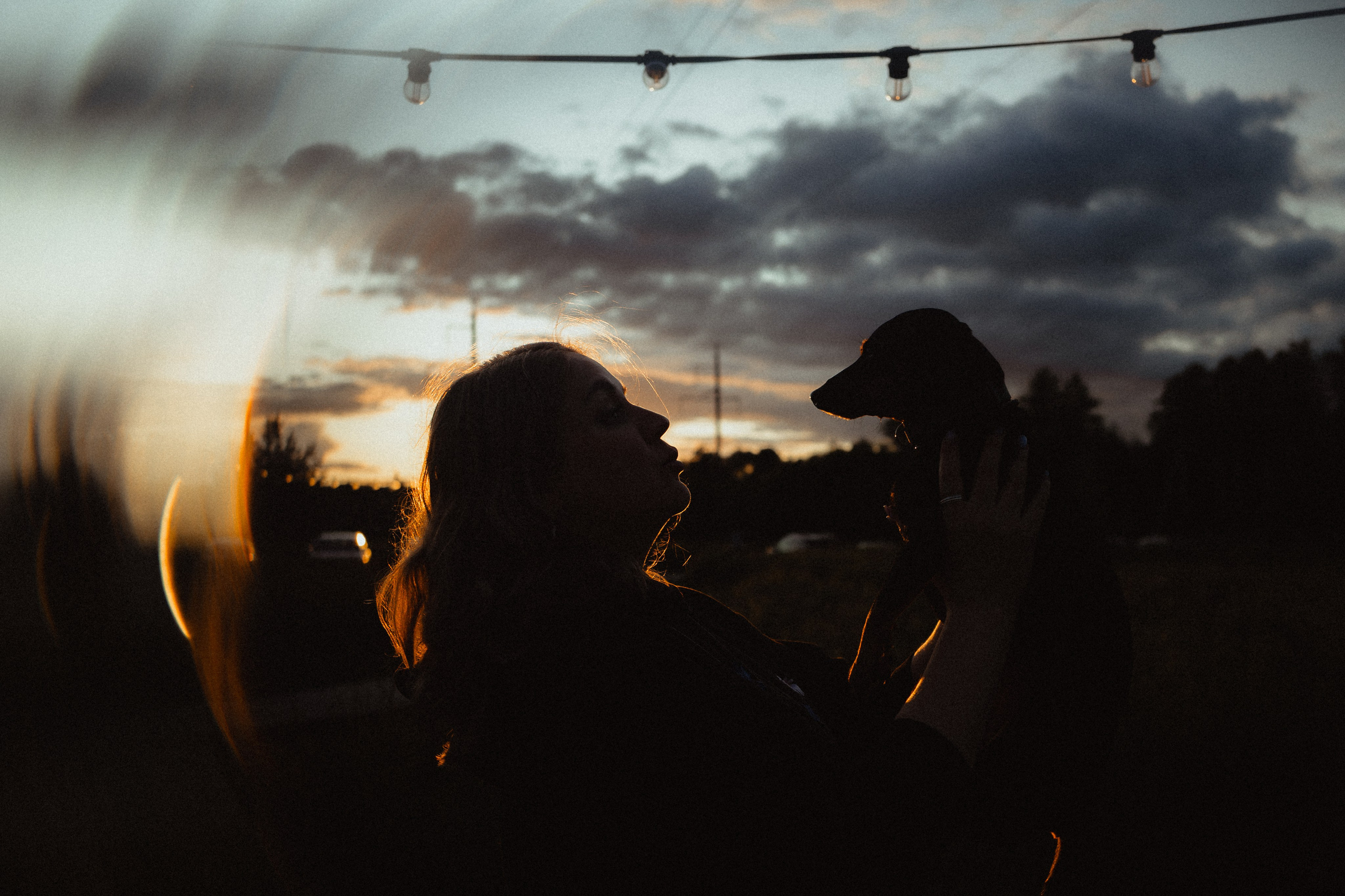 Выездной дог-тренинг от школы «Шерсть имею»