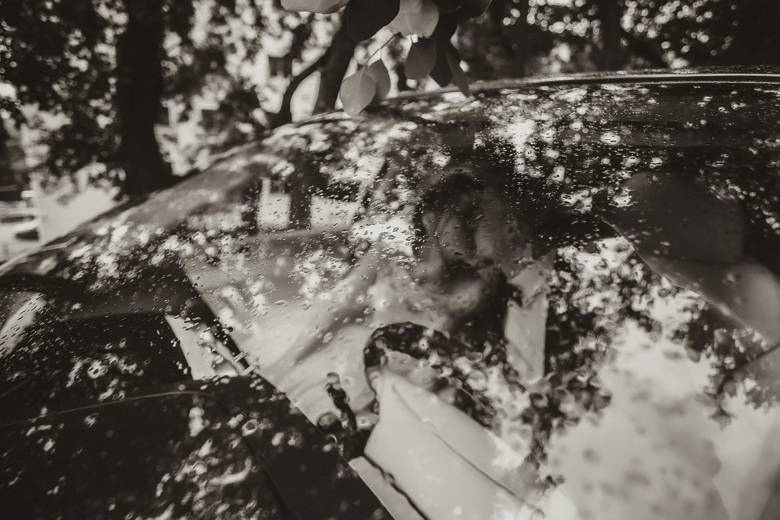 Свадьбы. Владивосток семейный фотограф Александр Степанов