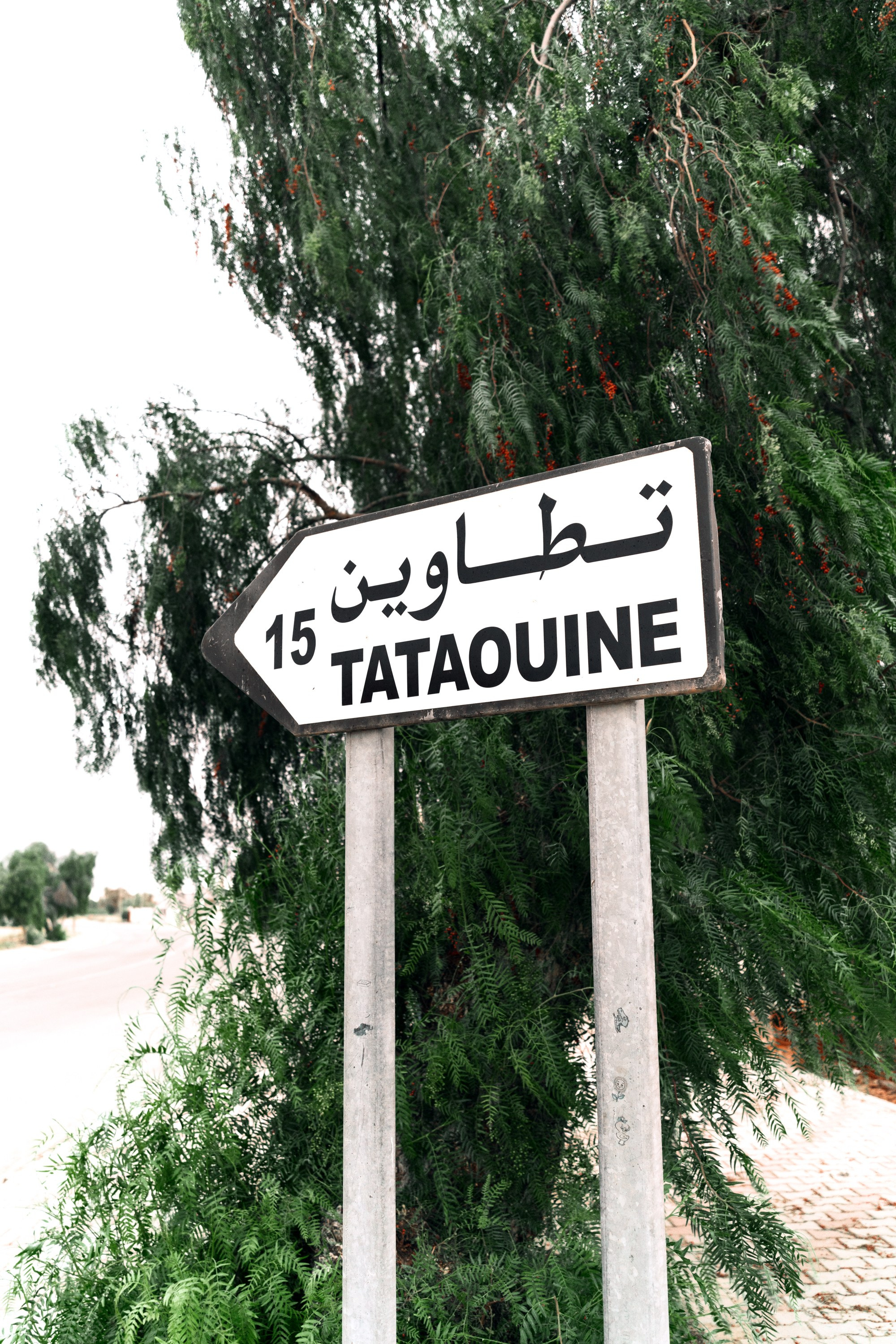 Северная Африка: Тунис, Марокко. Фотограф в Хабаровске. Фотография за 24 часа