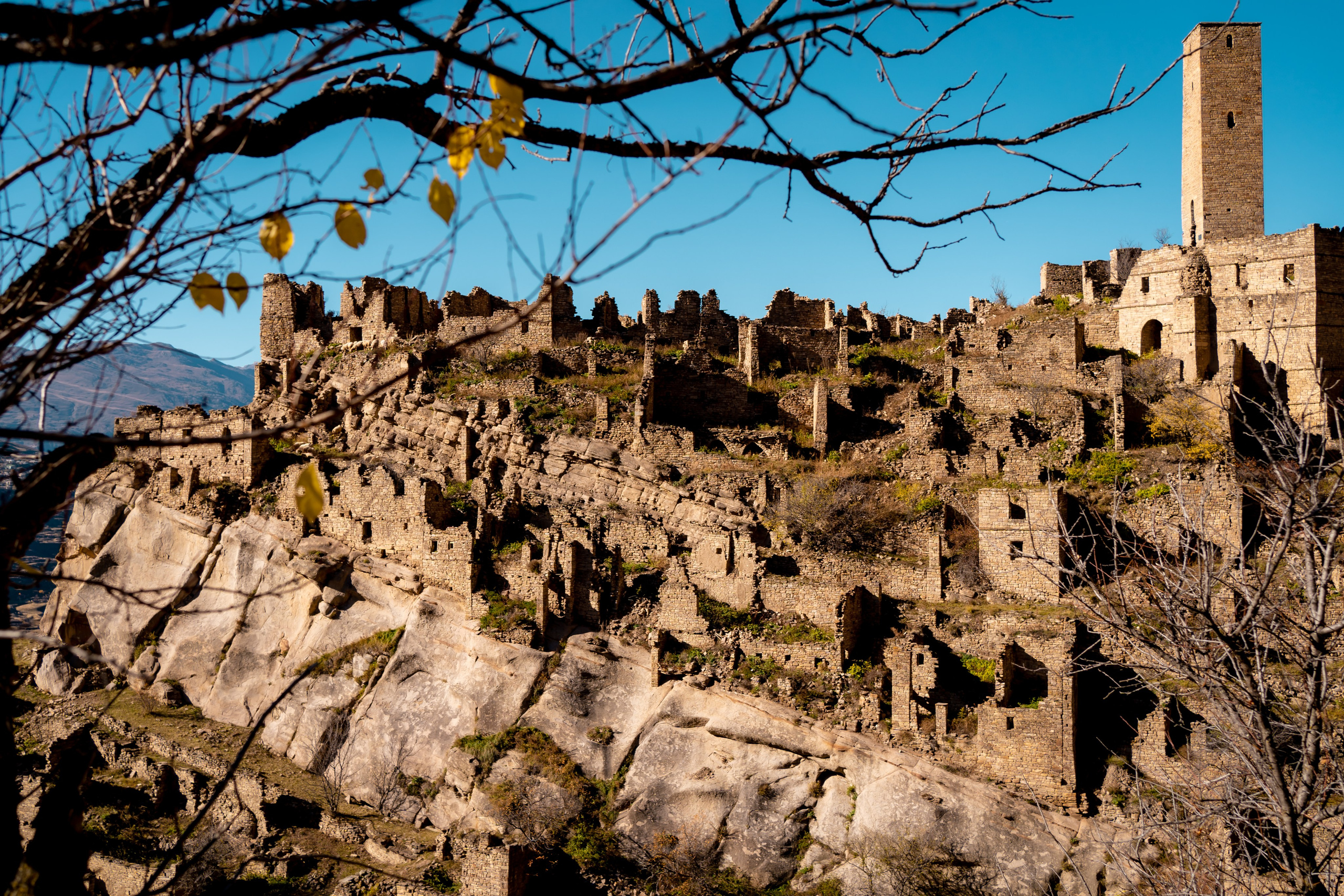 Дагестан. Семейный фотограф Варвара Сорока в городе Москве