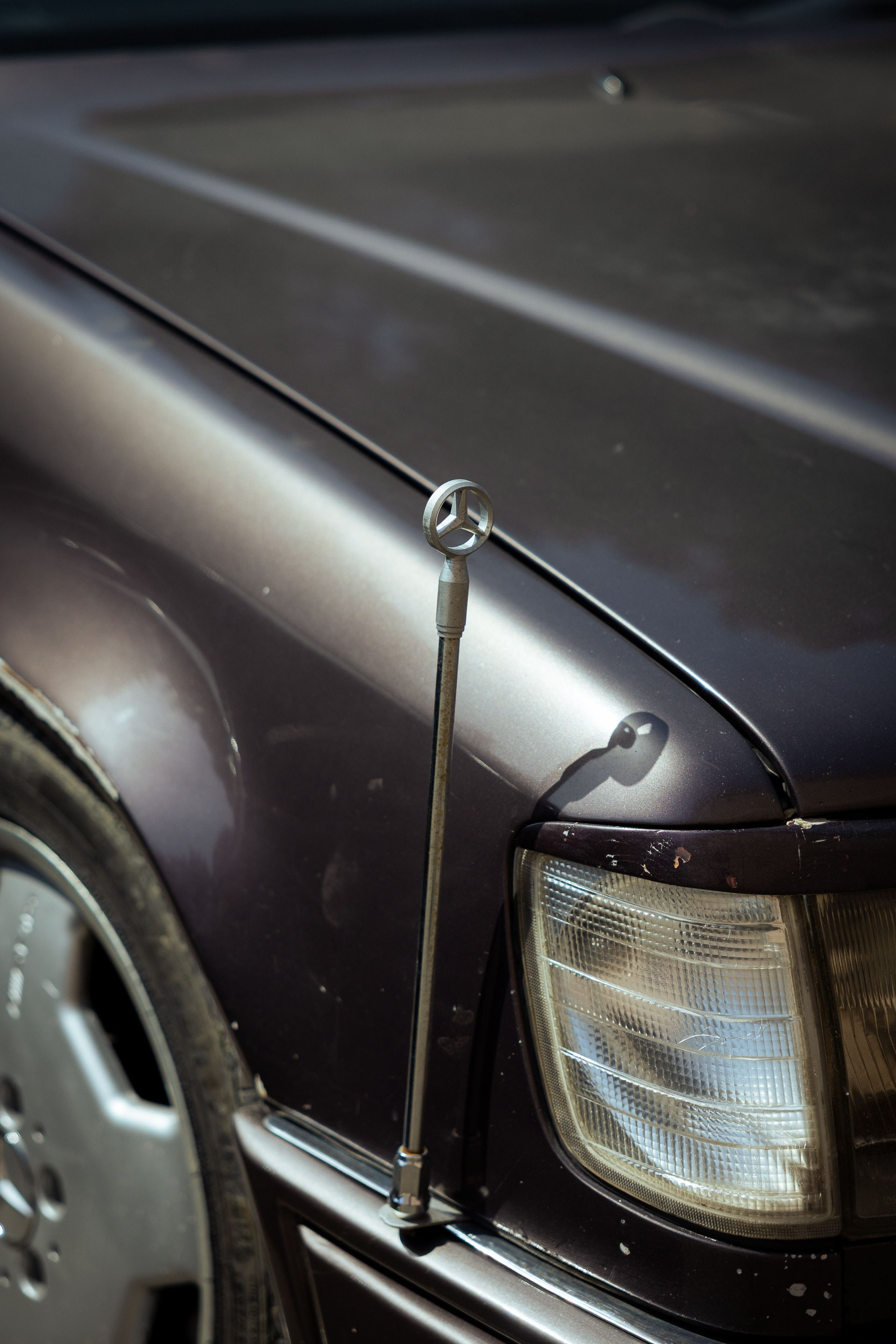 Кыргызстан (весна 2025). Фотограф Виноградов Константин