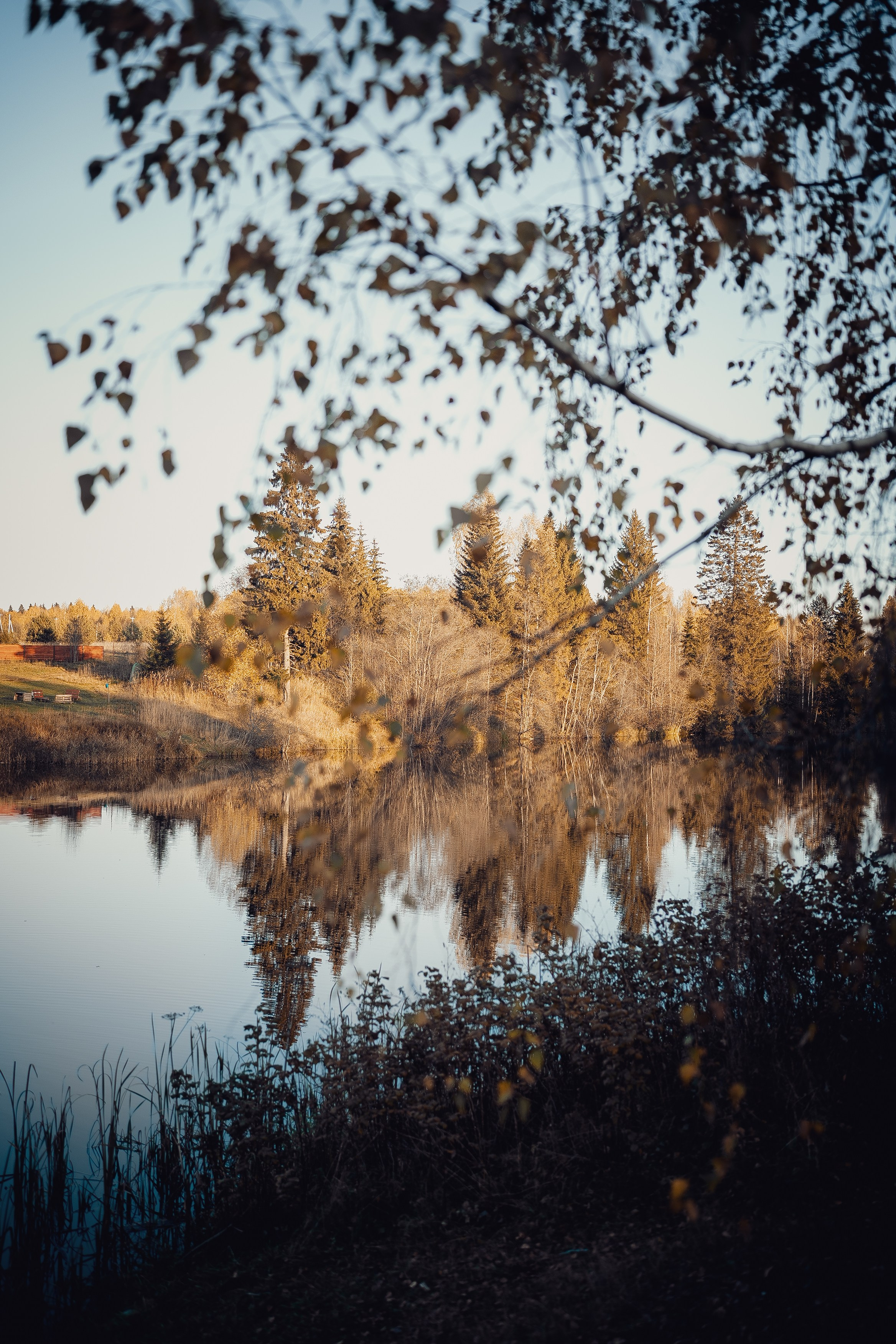 Дарья. Фотограф Пермь | Юлия Арт