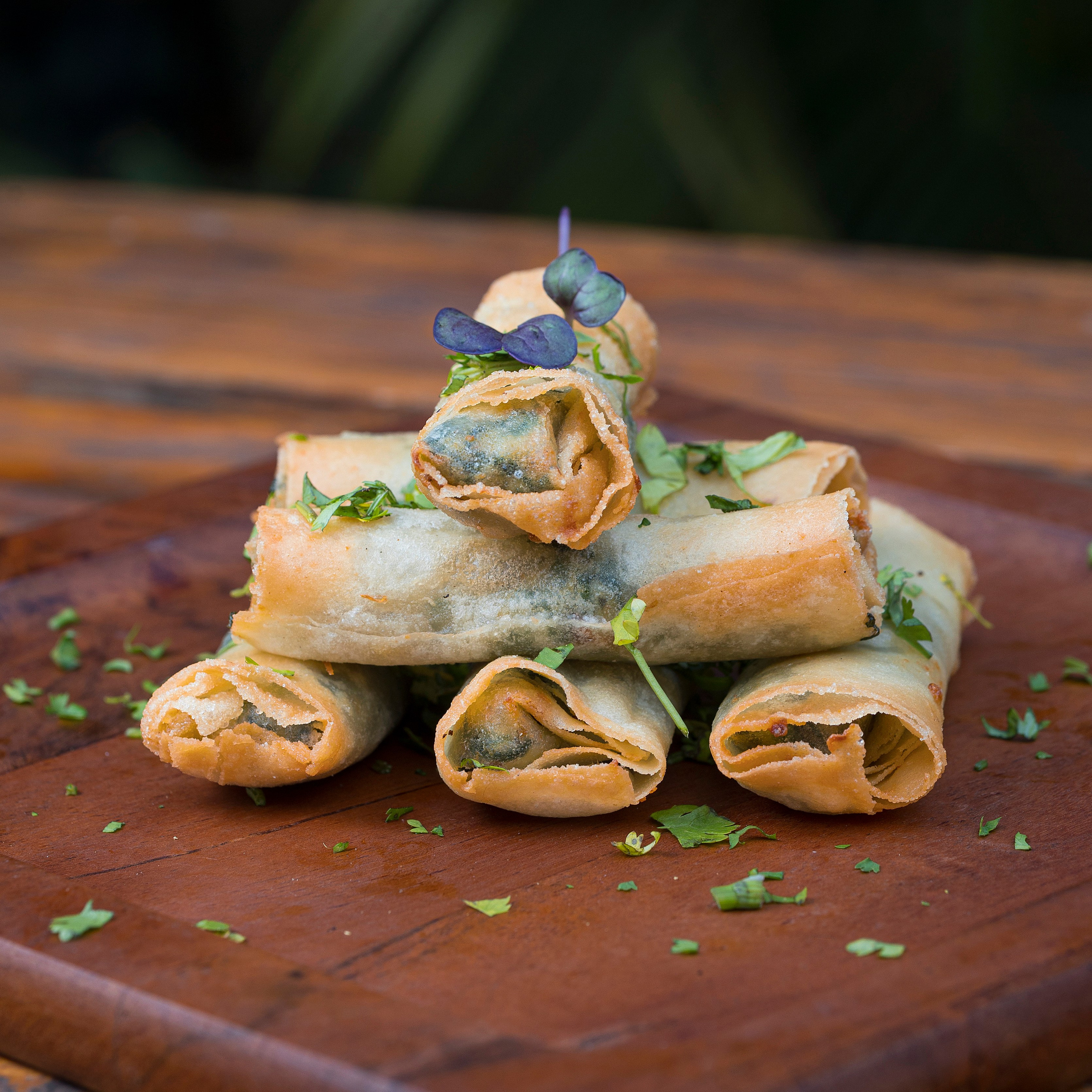 Food photo. Photos et vidéos émouvantes et touchantes