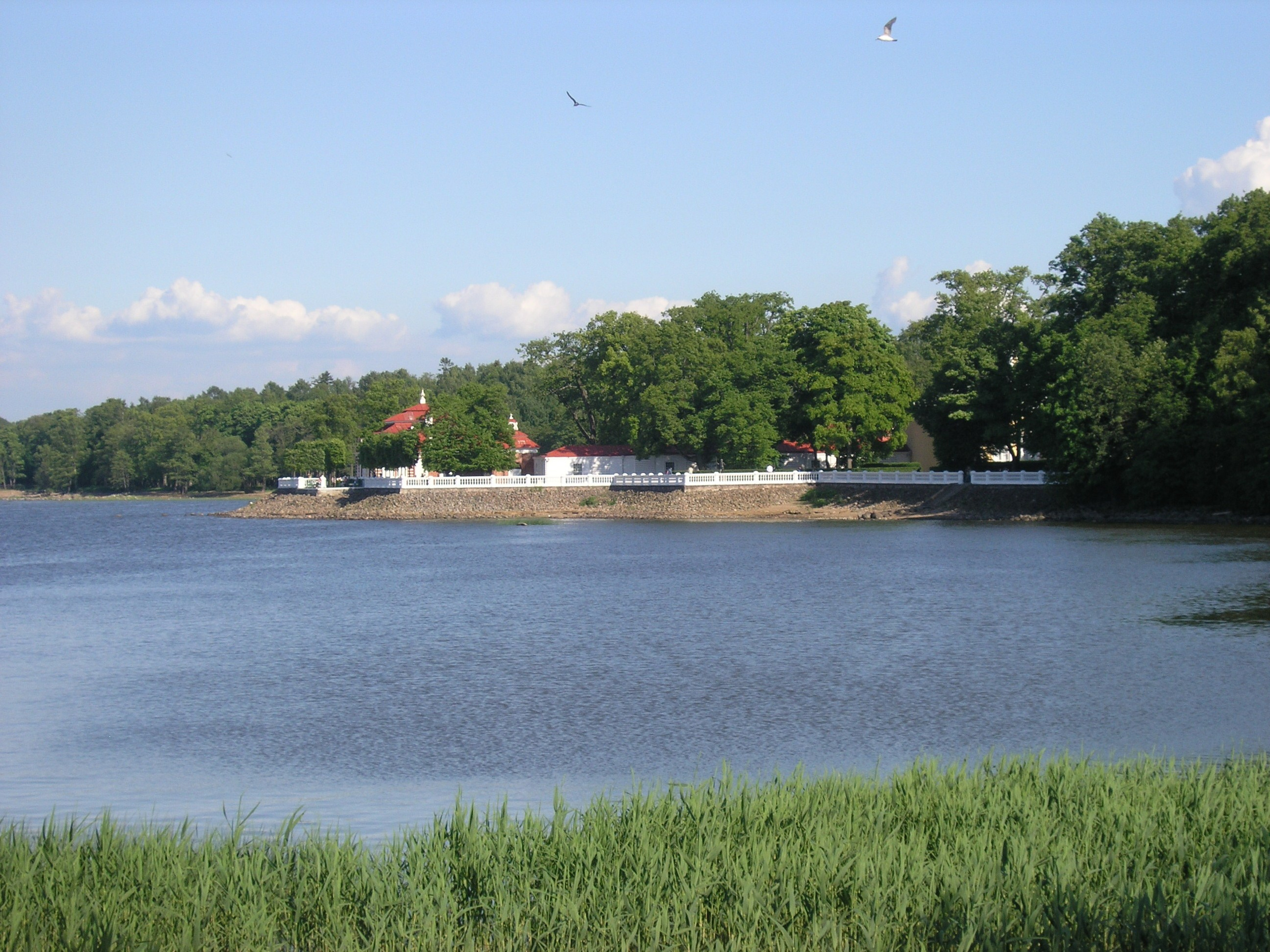 Питер 2010 г. Улица, люди, жизнь…