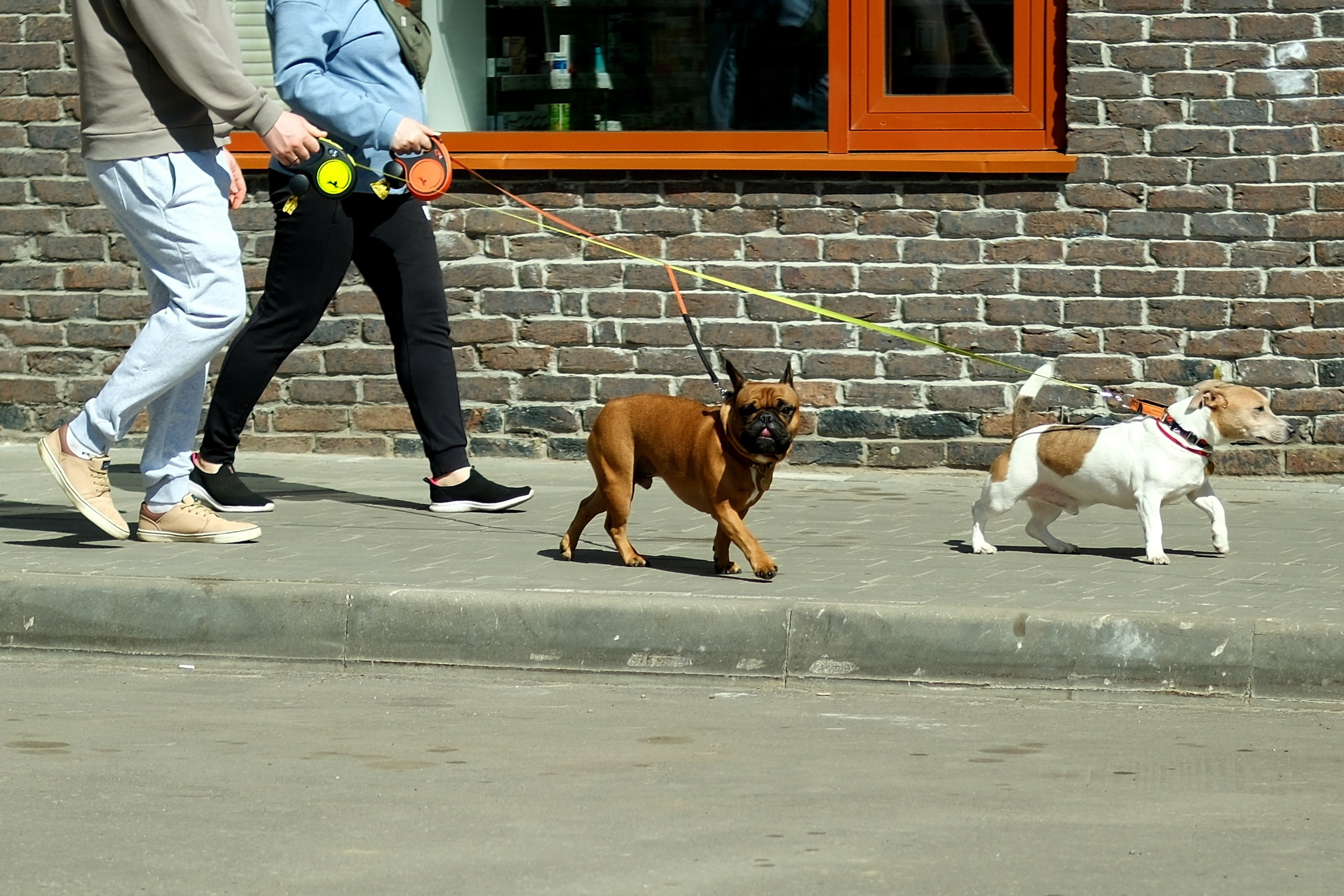 Улица, люди, жизнь…