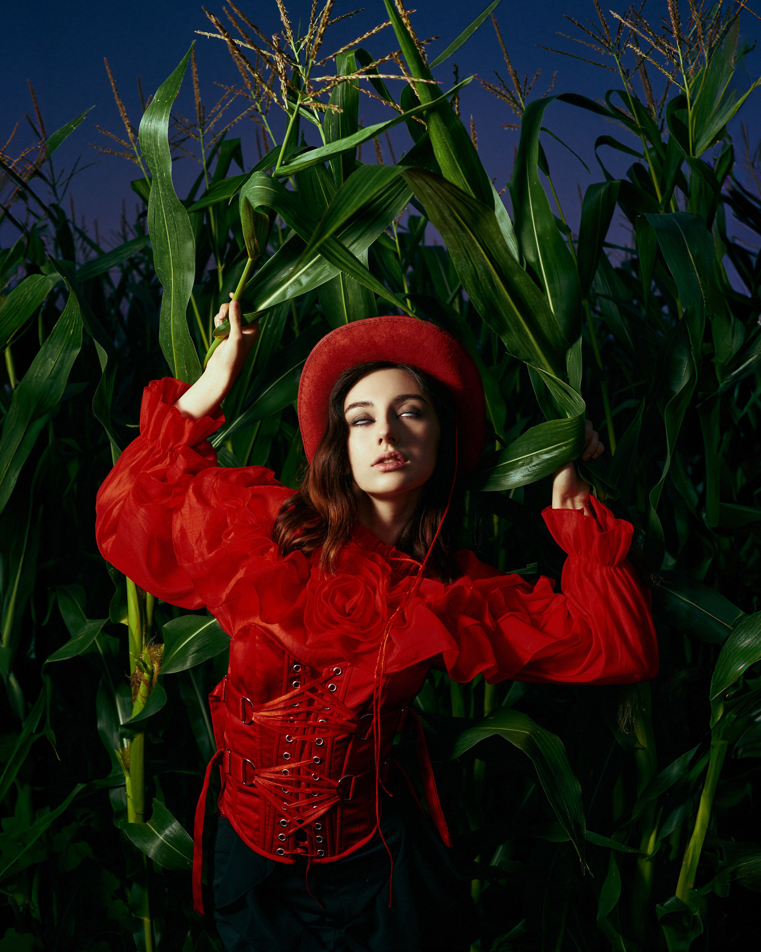 Polly. ГЛАВНАЯ