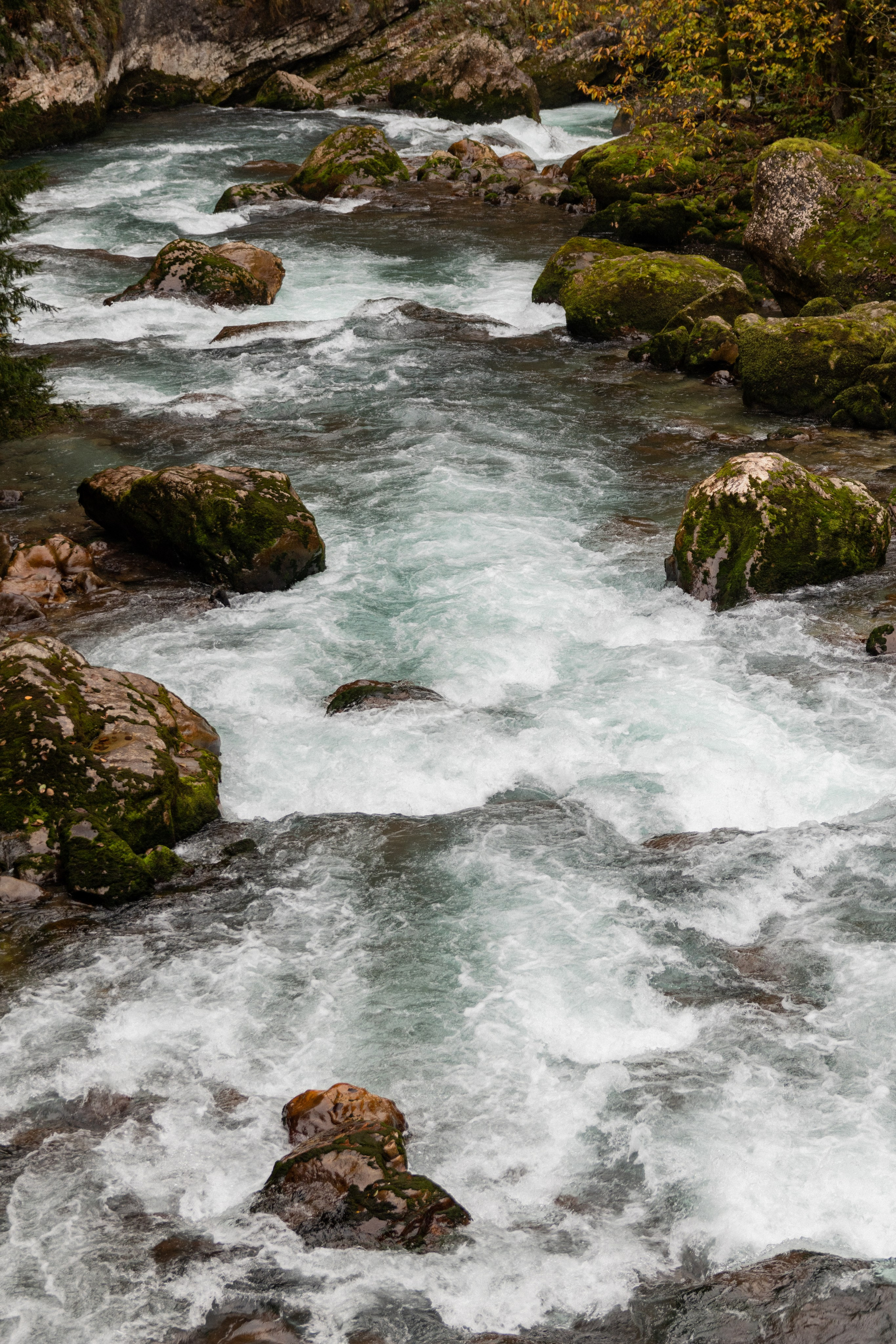 Абхазия. Фотограф Севастополь, Крым. Портретный и репортажный фотограф Коваленко Антонина
