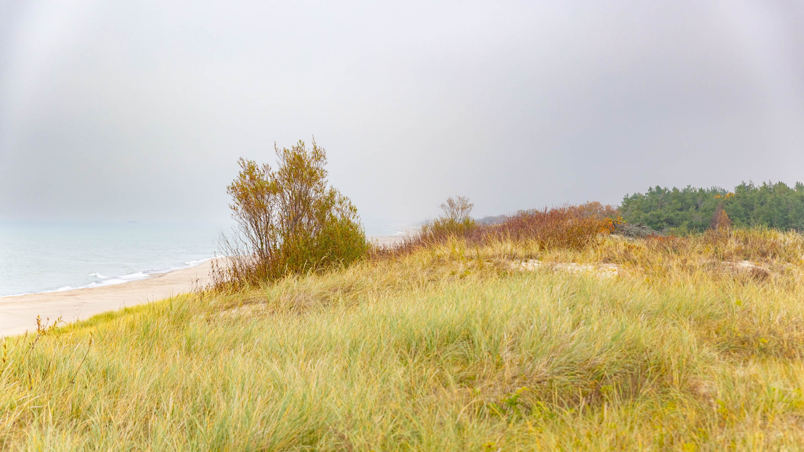 2024 10 Зеленоградск, Светлогорск, Куршская коса. Фотографии