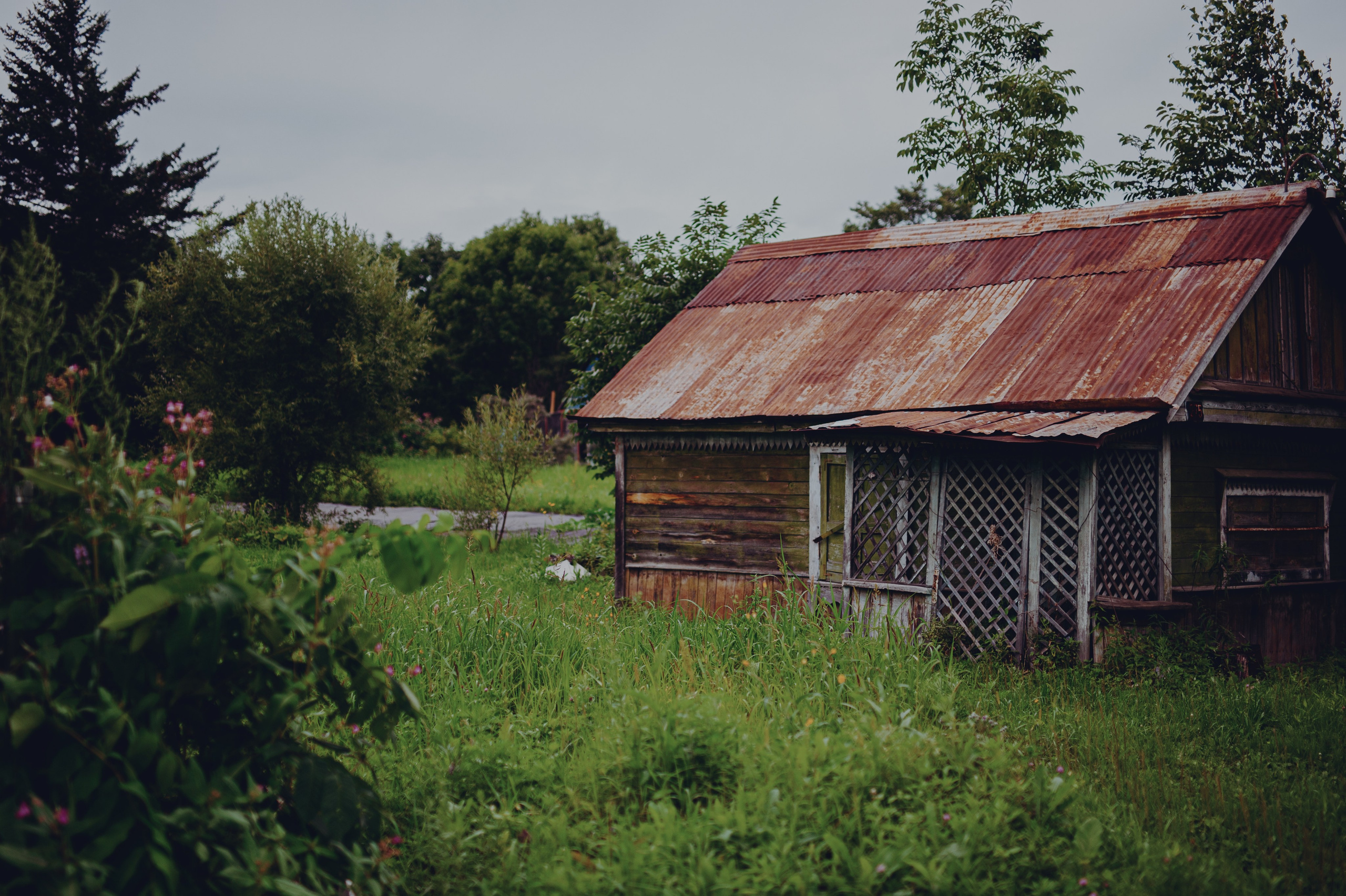 Dacha. Максим и Наталья Фёдоровы — Портретные и свадебные фотографы в Хабаров