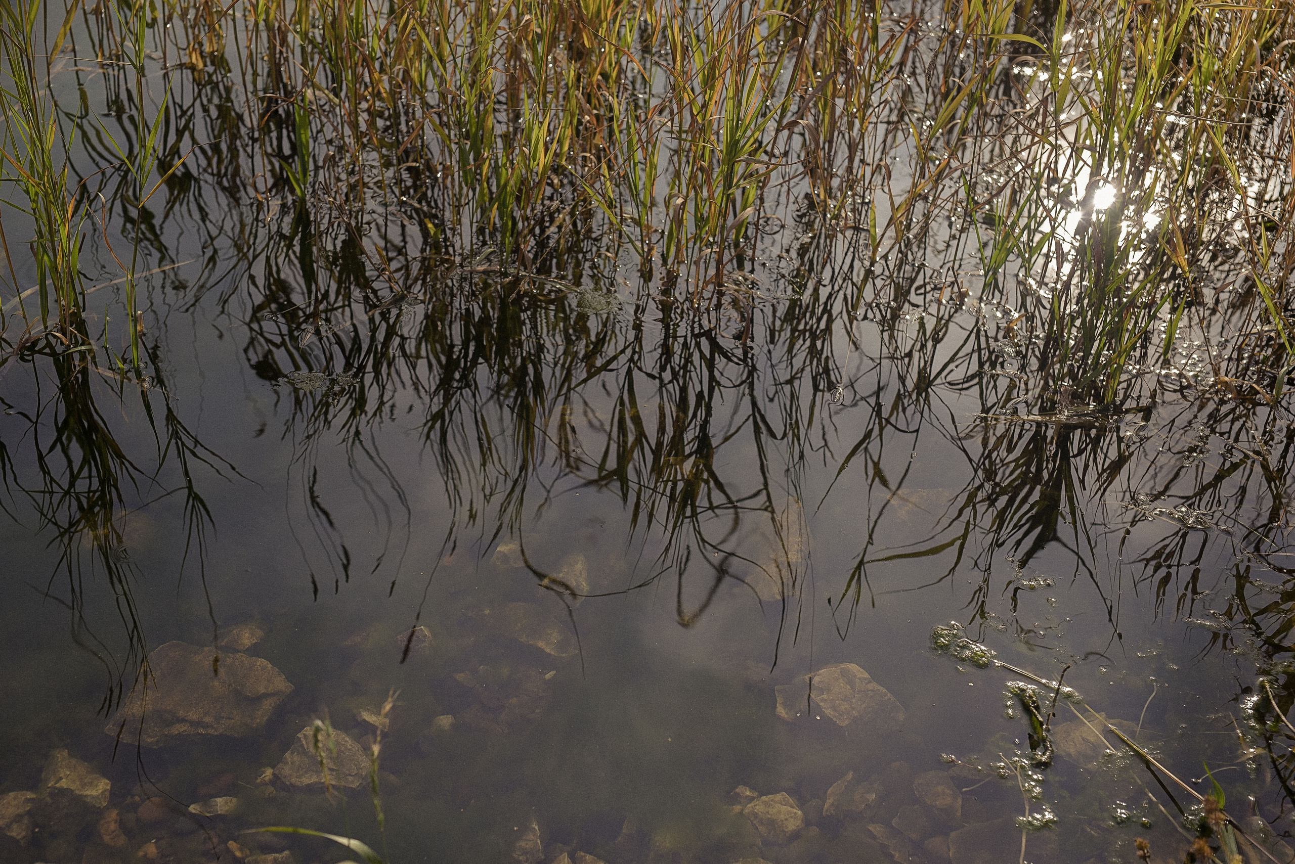 Fashion shot «Polina». Выпускные альбомы в современном стиле | Казань