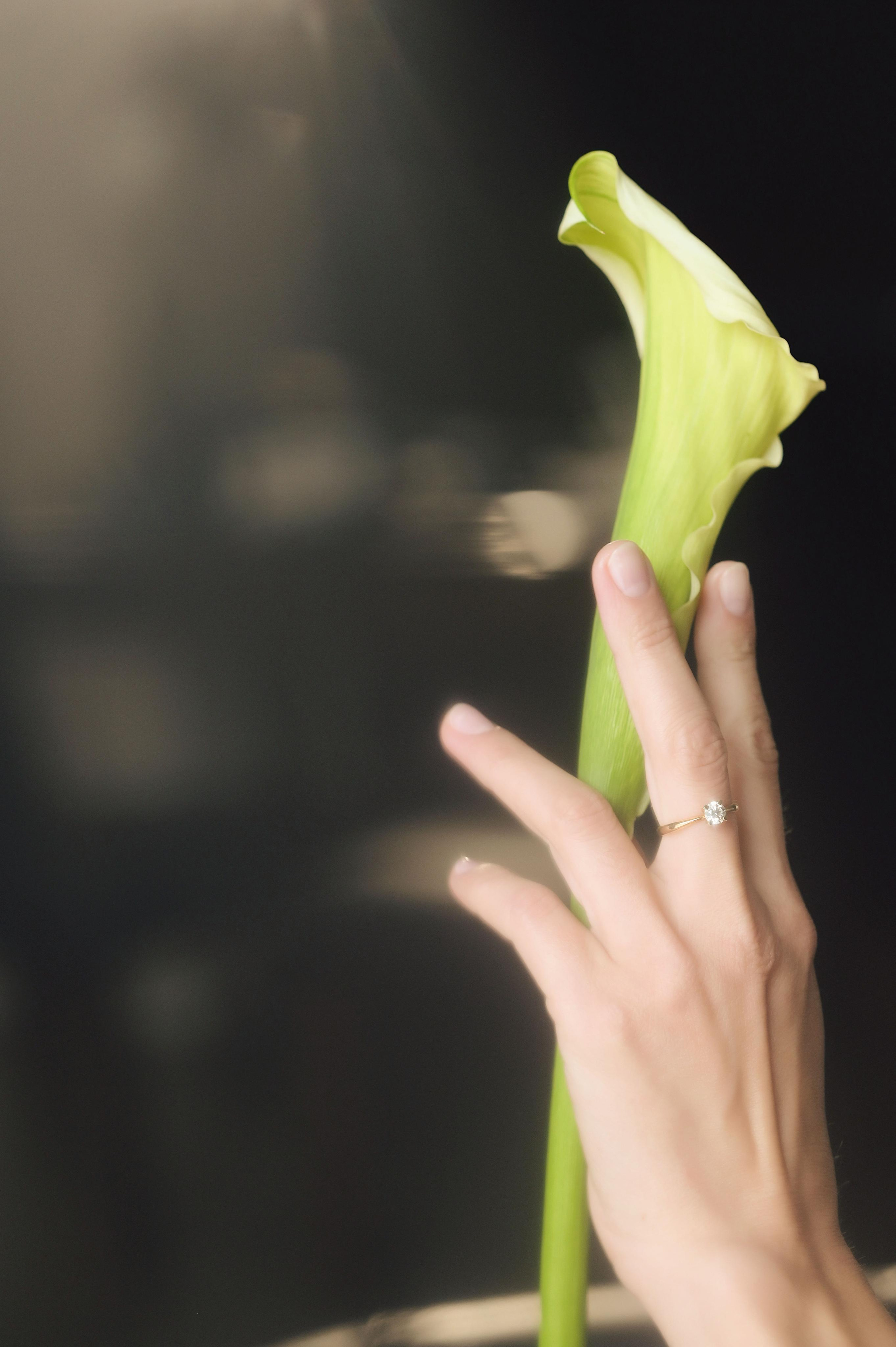 Съёмка для ювелирного бренда DYNASTY. Выпускные альбомы в современном стиле | Казань