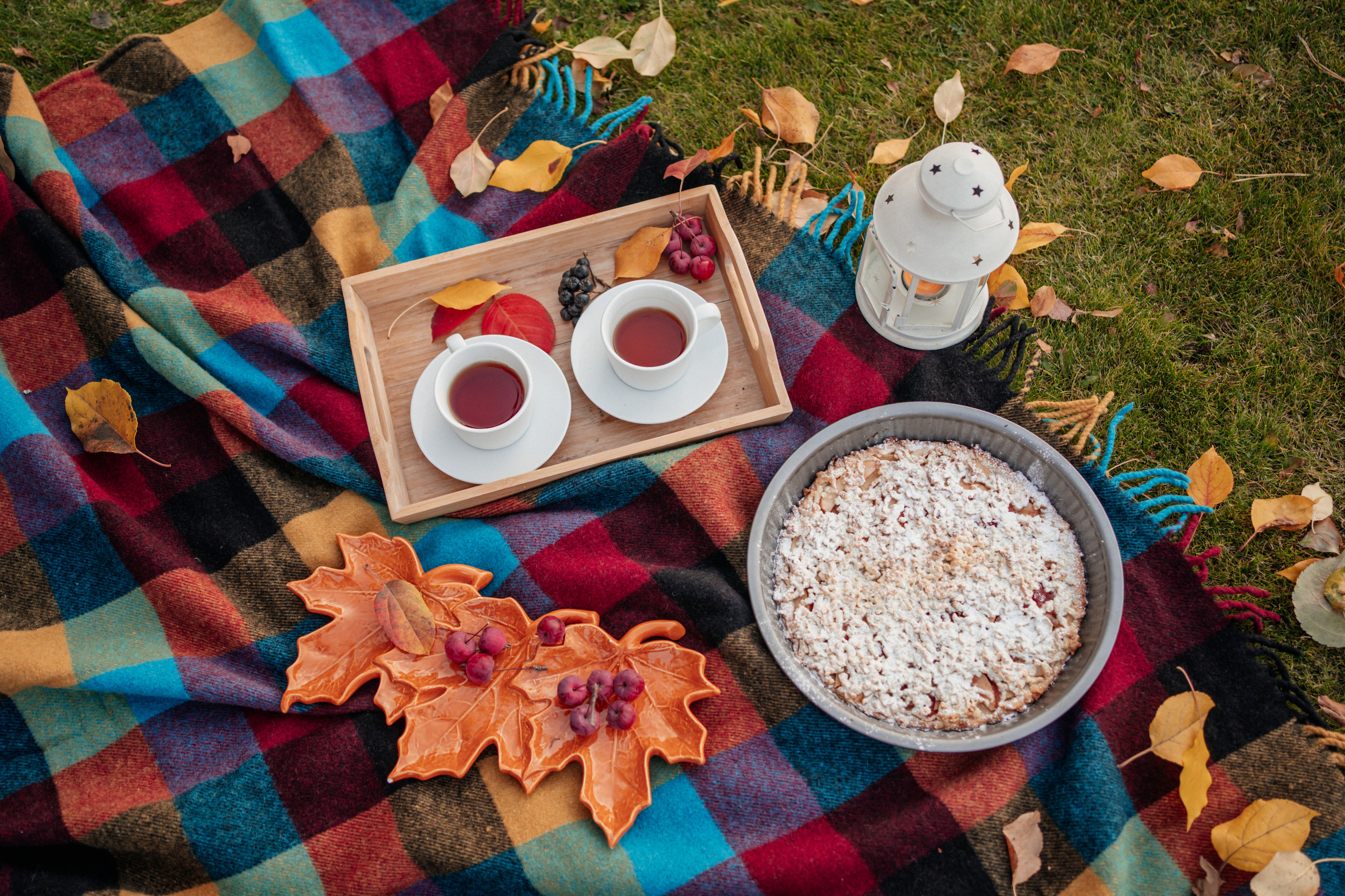 Дачная история. Семейный фотограф, фотосессия беременности в Новосибирске Кристина Киб