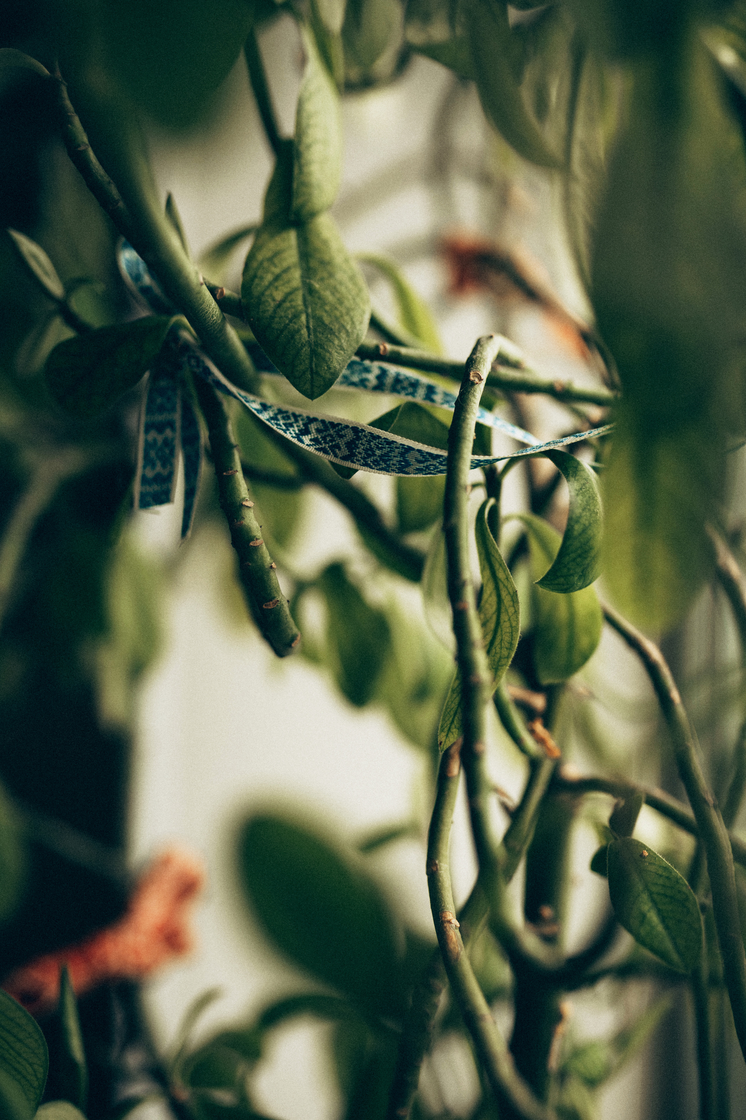 Стась Таня Алеся. Семейный фотограф в Минске и РБ Стеликова Анна