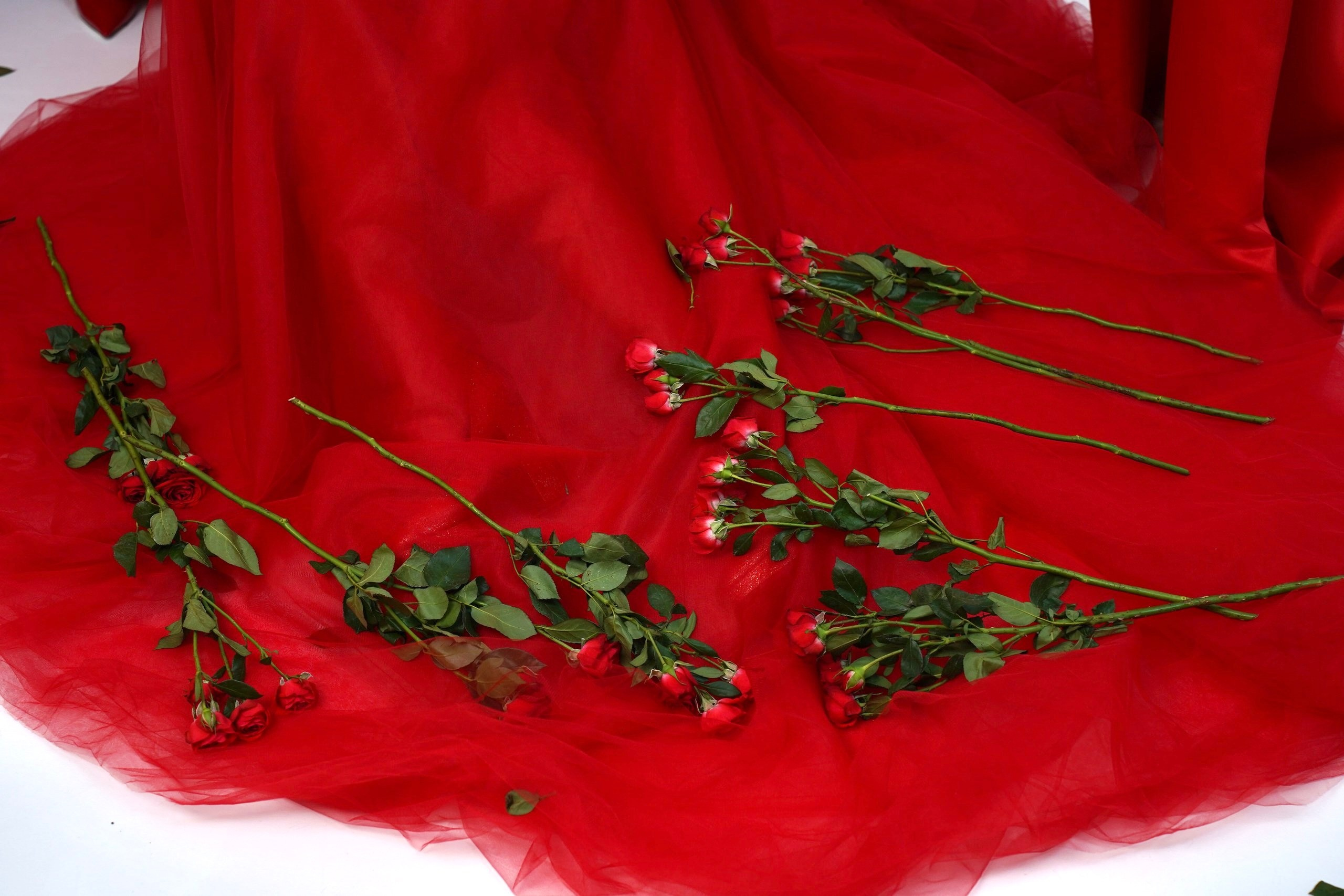 Королевы. Фотограф Видеограф