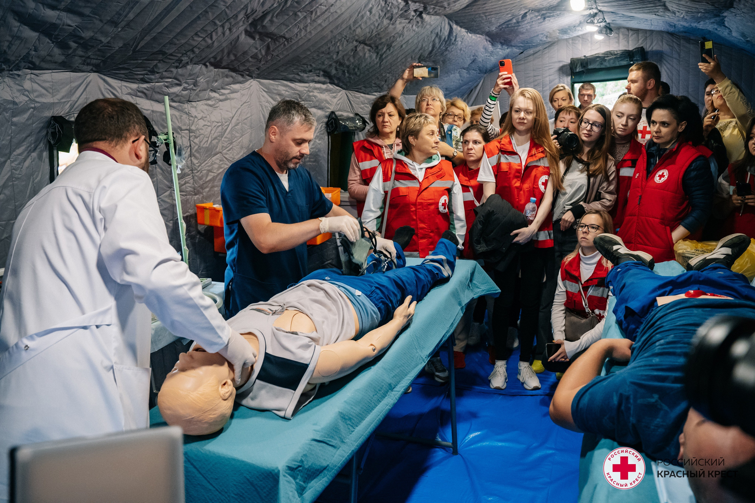Красный крест | Дегас, медвежья берлога. Фотограф в Воронеже Ольга Космодемьянская