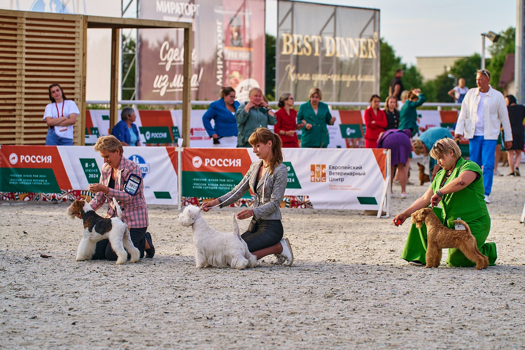 08.06.2024 «РОССИЯ. КУБОК РКФ 2024»