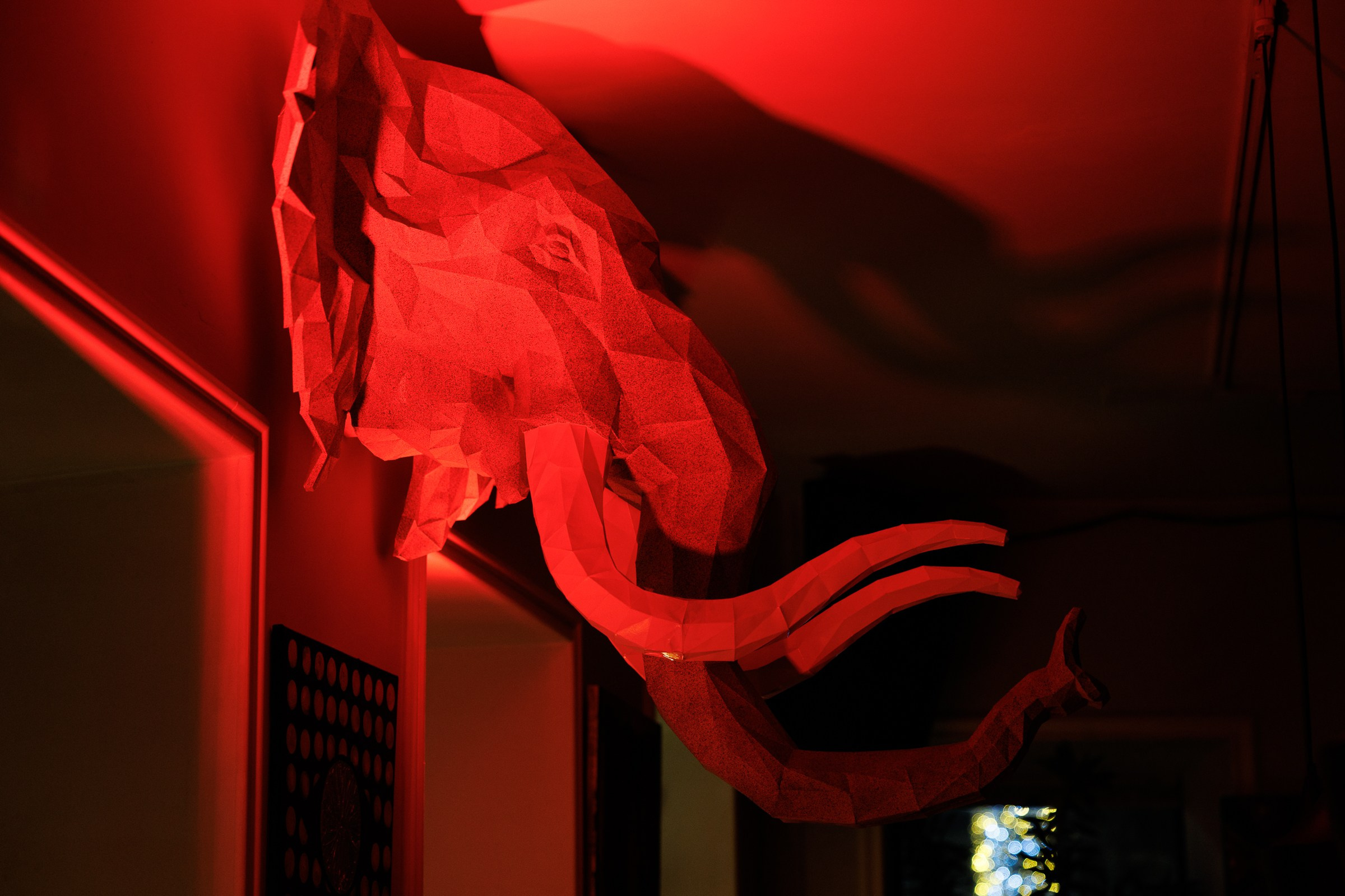 Репортажный и свадебный фотограф Катерина Потапова